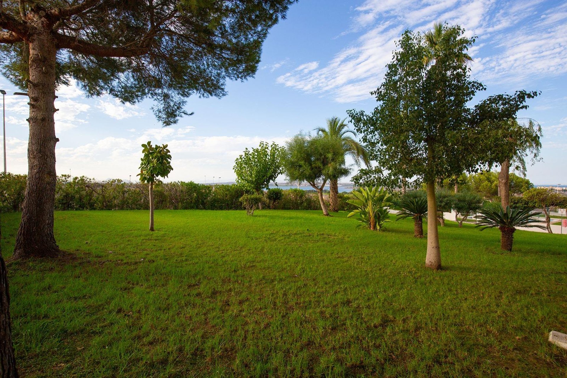 Reventa - Apartamento - Torrevieja - Torreblanca