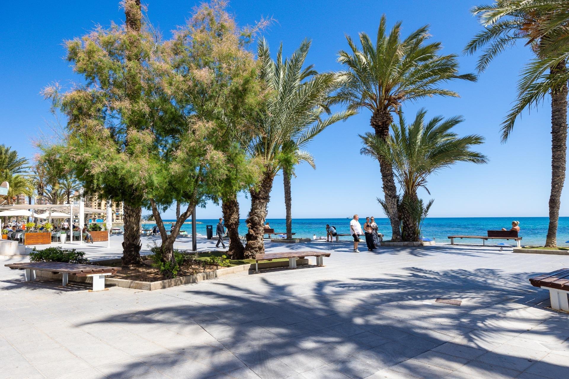 Reventa - Ático - Torrevieja - Habaneras