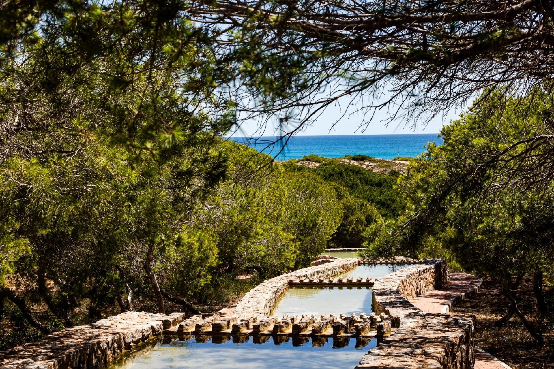 Reventa - Ático - Torrevieja - La Mata