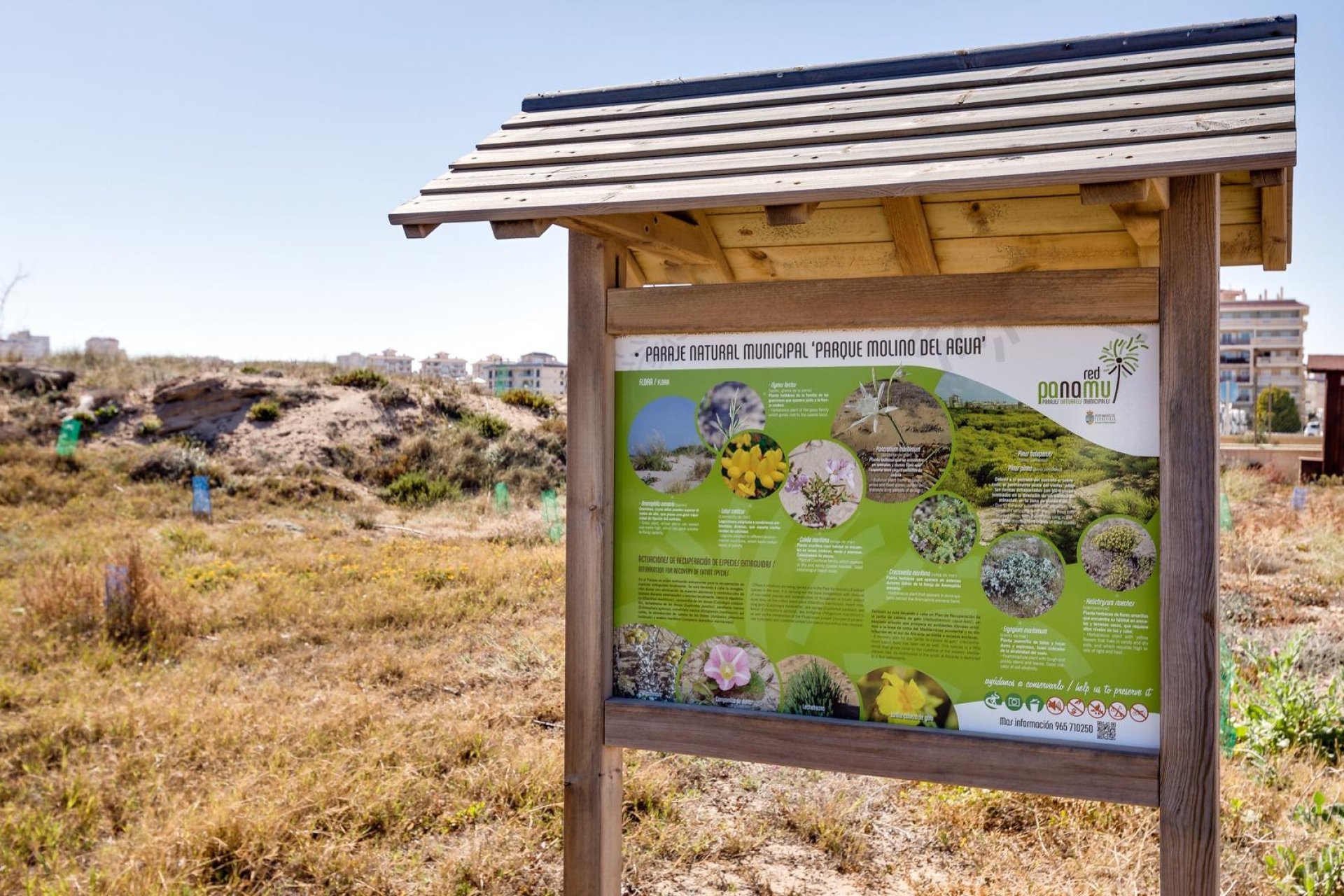 Reventa - Ático - Torrevieja - La Mata