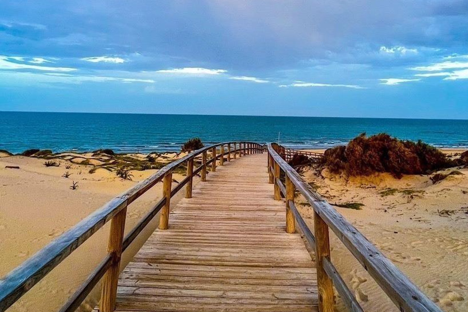 Reventa - Ático - Torrevieja - Playa de los Locos