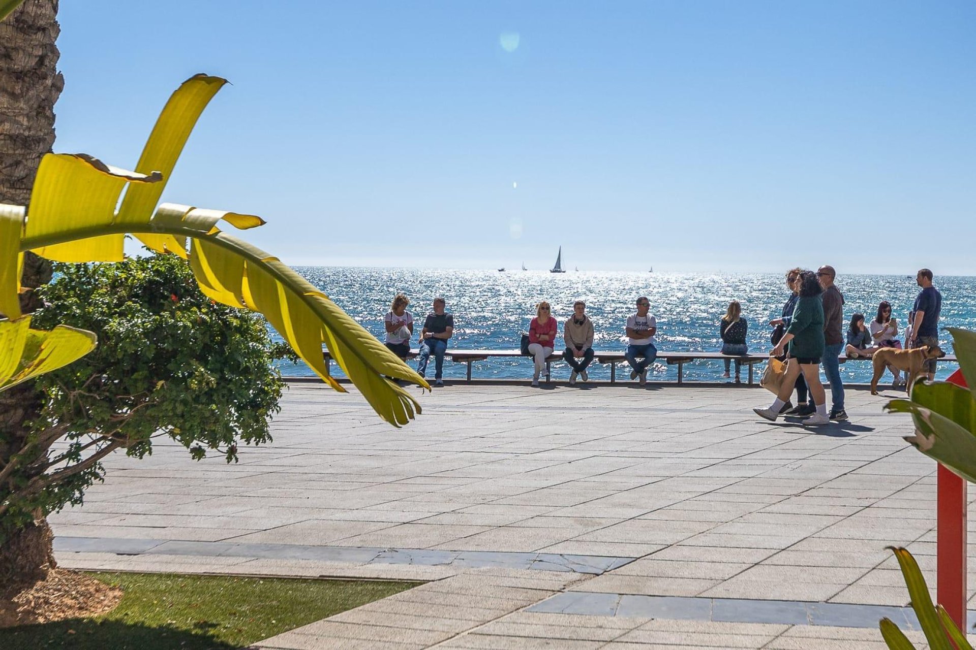 Reventa - Ático - Torrevieja - Playa del Cura