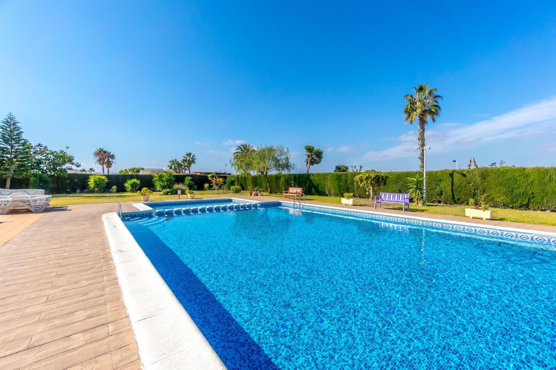 Reventa - Bungalow Planta Baja - Torrevieja - La Siesta - El Salado - Torreta