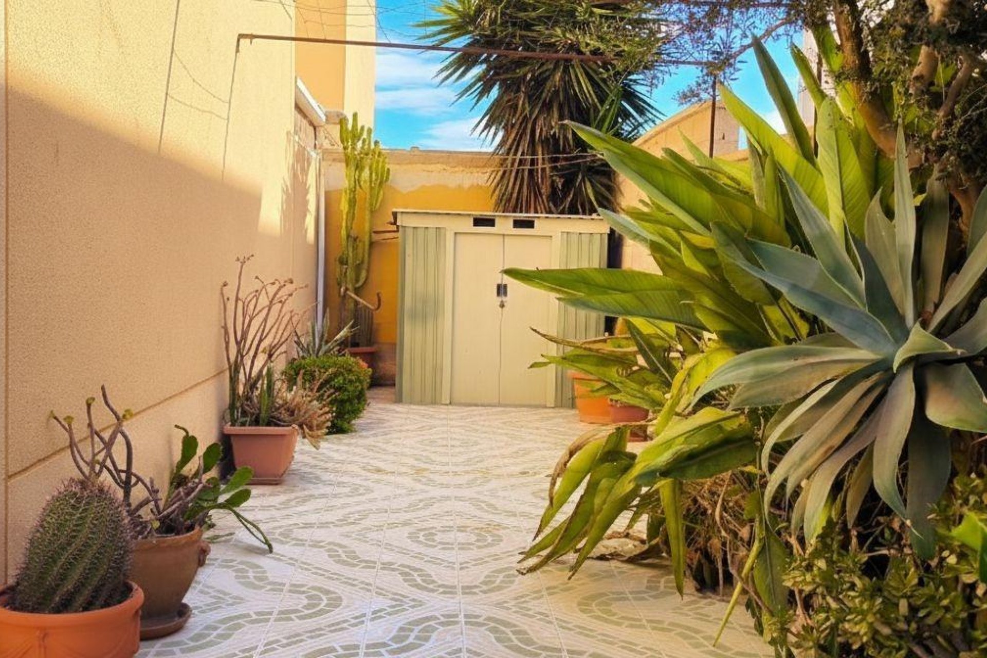 Reventa - Bungalow Planta Baja - Torrevieja - Paraje natural