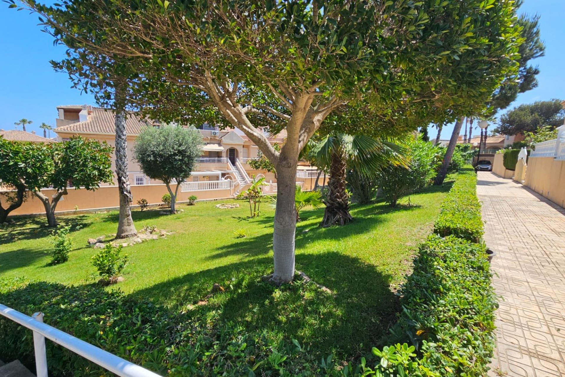 Reventa - Bungalow Planta Baja - Torrevieja - Torreblanca