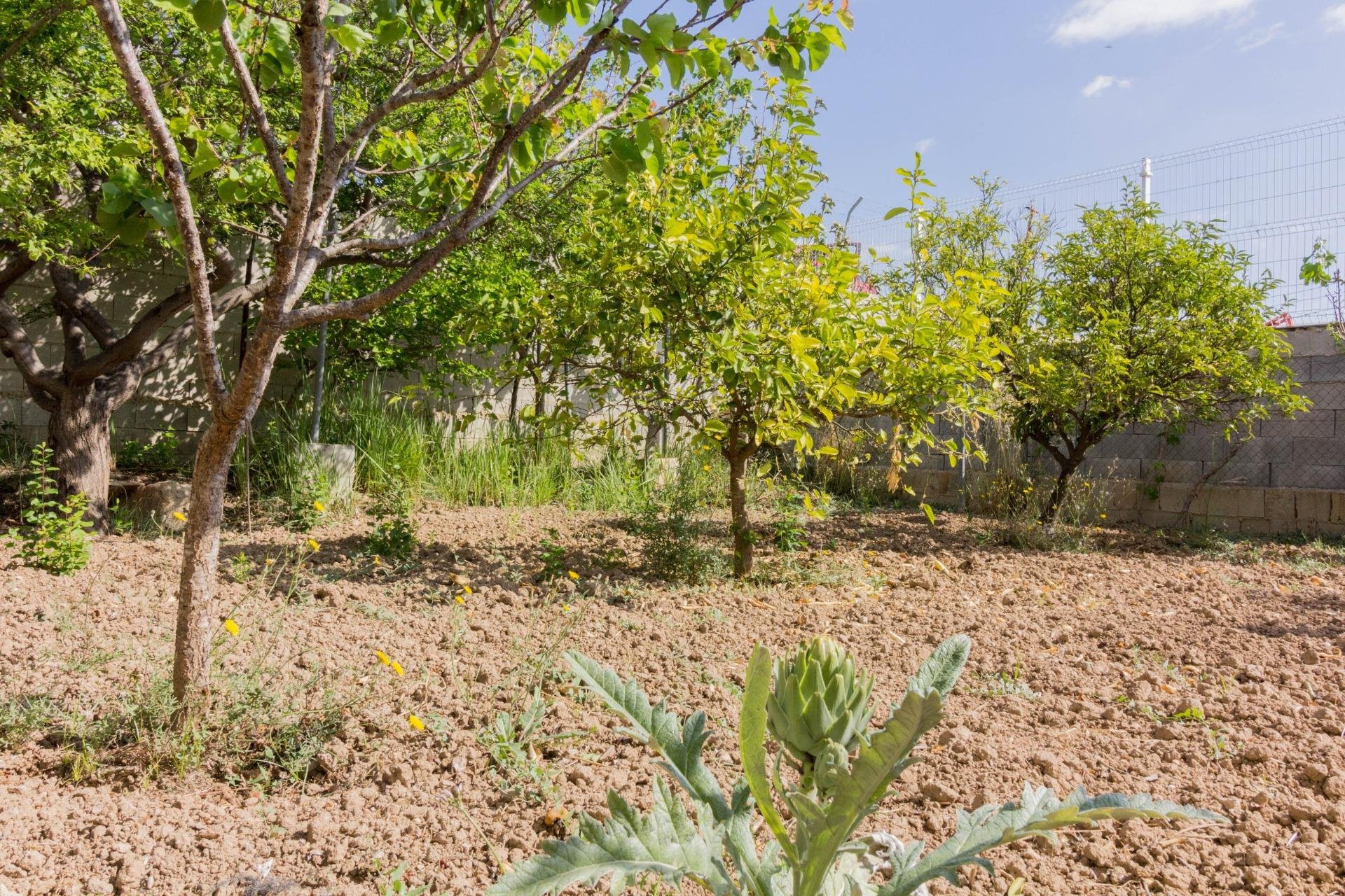 Reventa - Casa con terreno - Callosa de Segura - CRA. CALLOSA - CATRAL