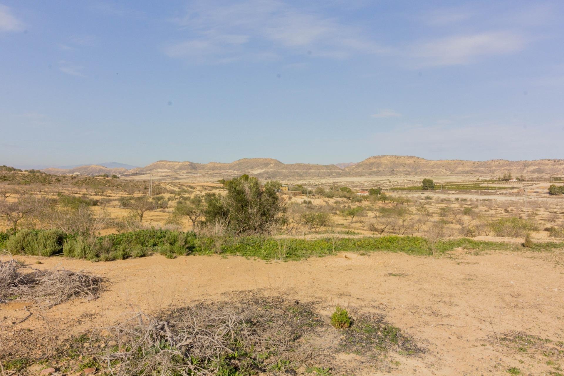 Reventa - Casa con terreno - Orihuela - Desamparados-Hurchillo-Torremendo