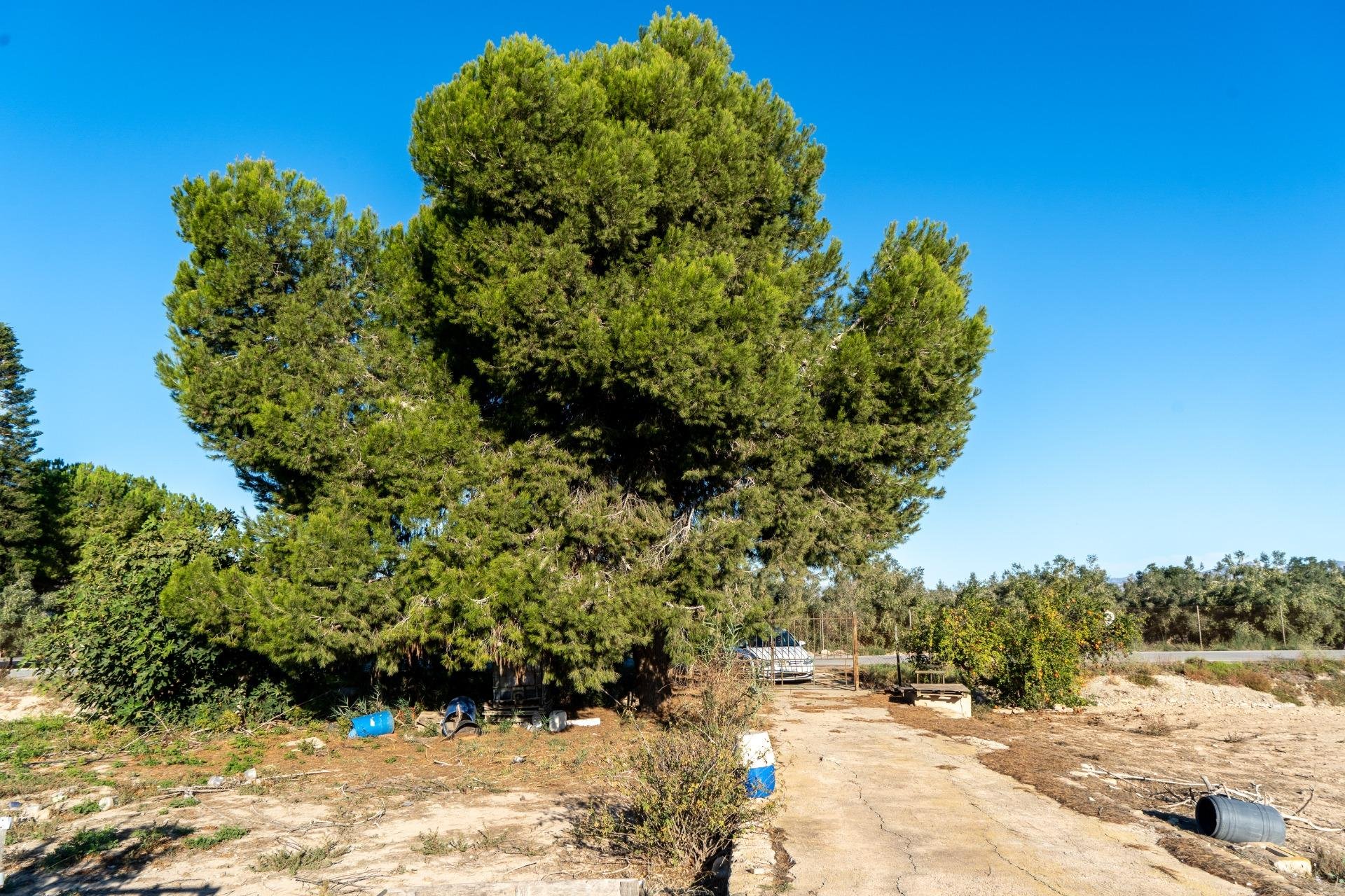 Reventa - Casa con terreno - Orihuela - Molins-Campaneta-San Bartolomé