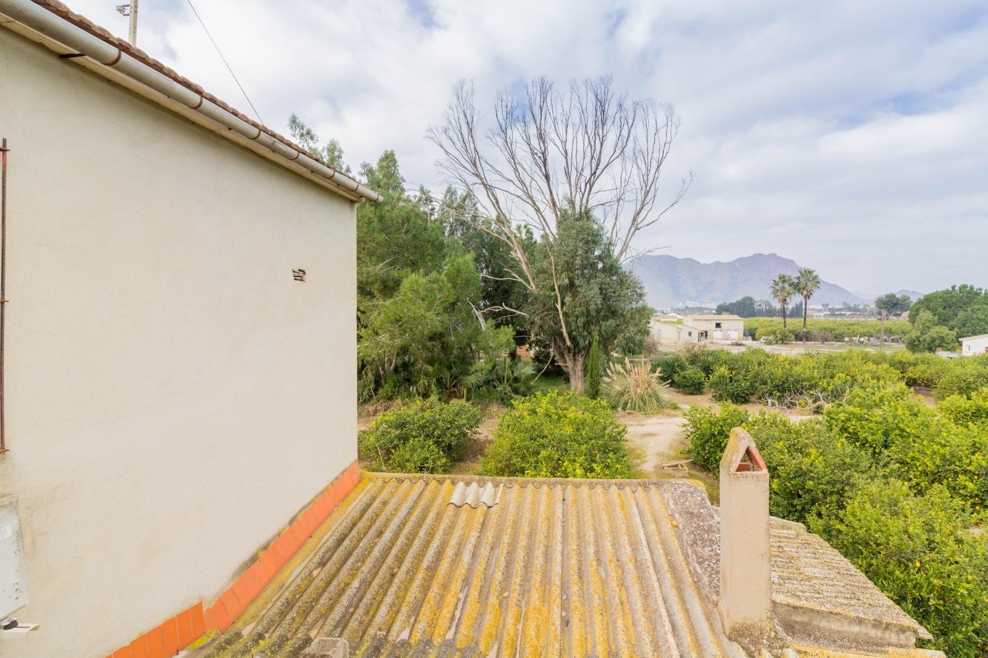 Reventa - Casa de campo - Rafal - El Mudamiento