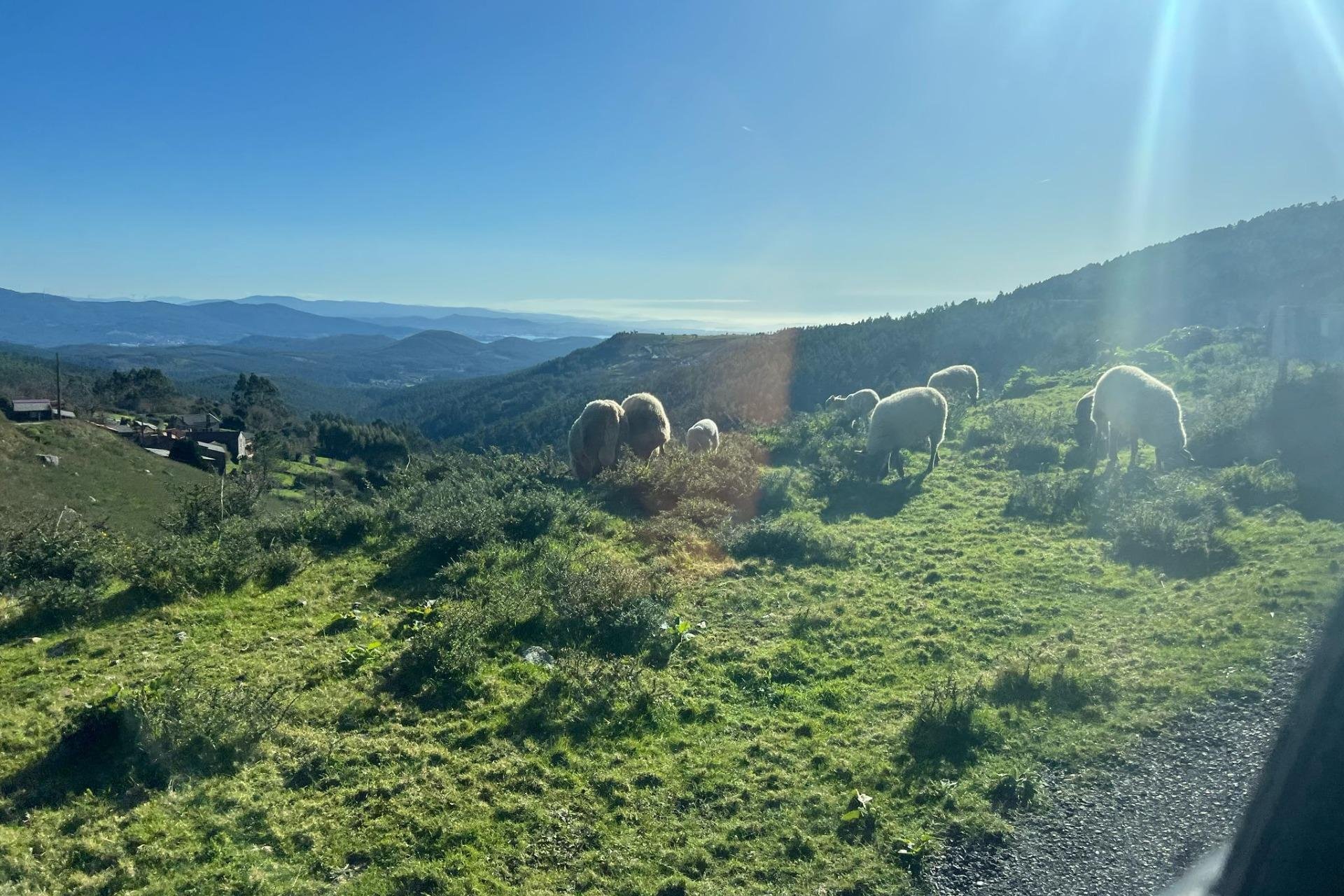 Reventa - Casa de campo - Rianxo - O arano