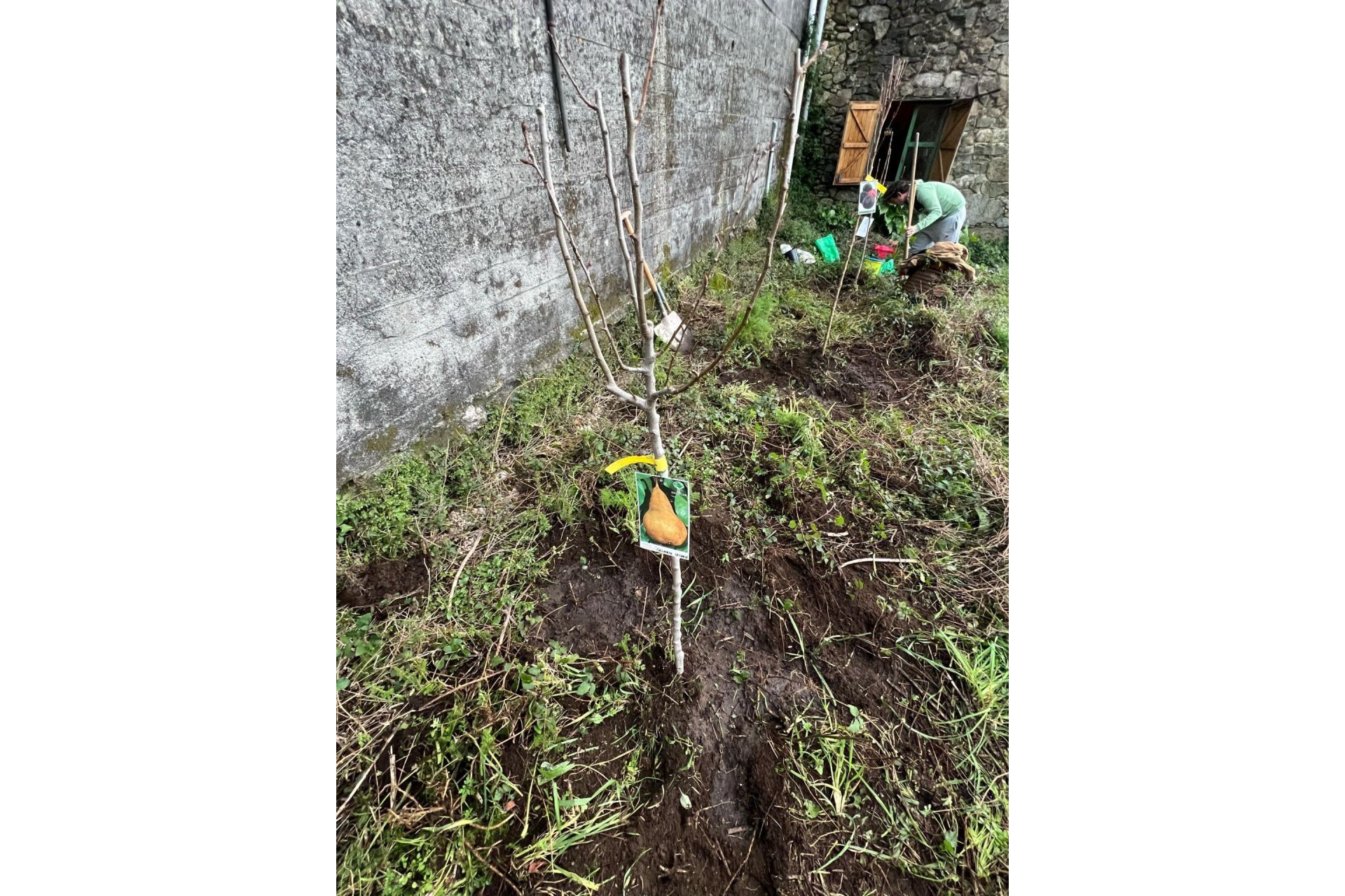 Reventa - Casa de campo - Rianxo - O arano