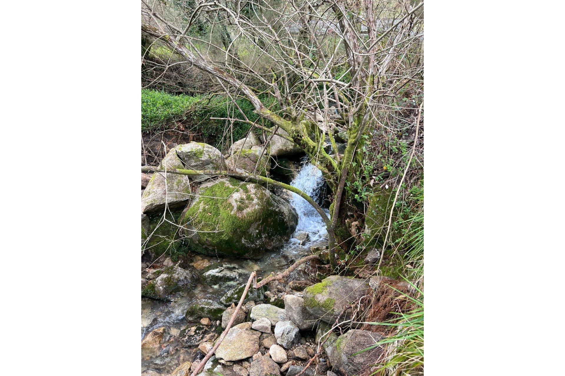 Reventa - Casa de campo - Rianxo - O arano