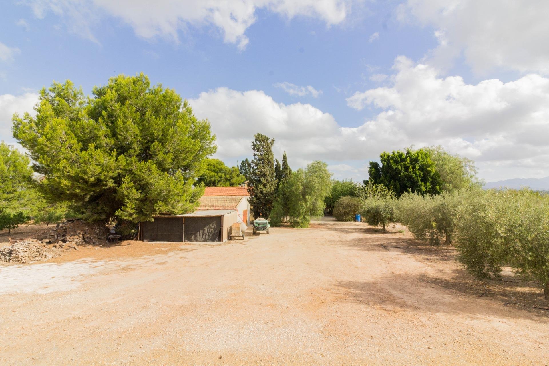 Reventa - Casa - Orihuela - La Matanza