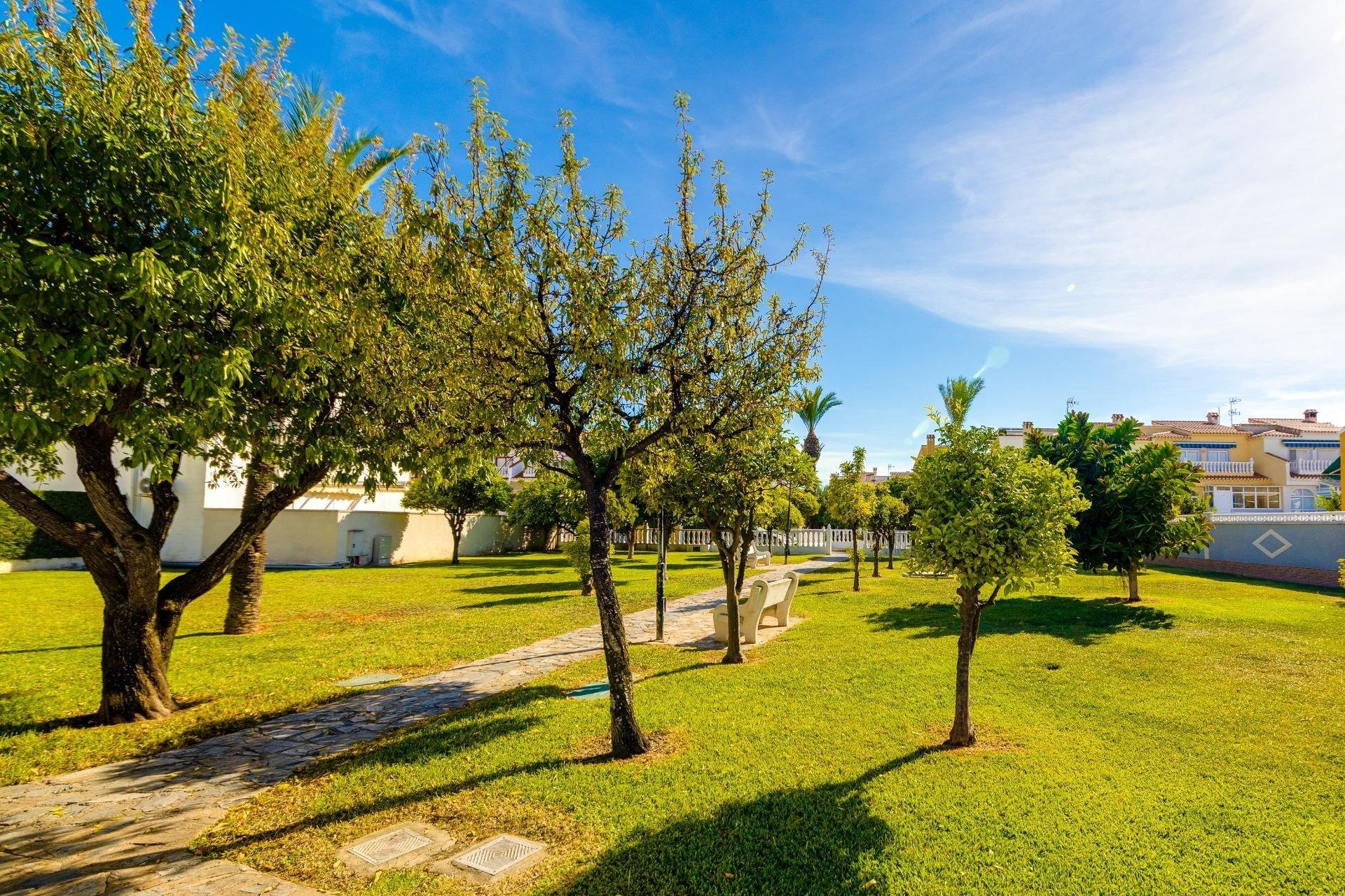 Reventa - Casa - Torrevieja - Carrefour