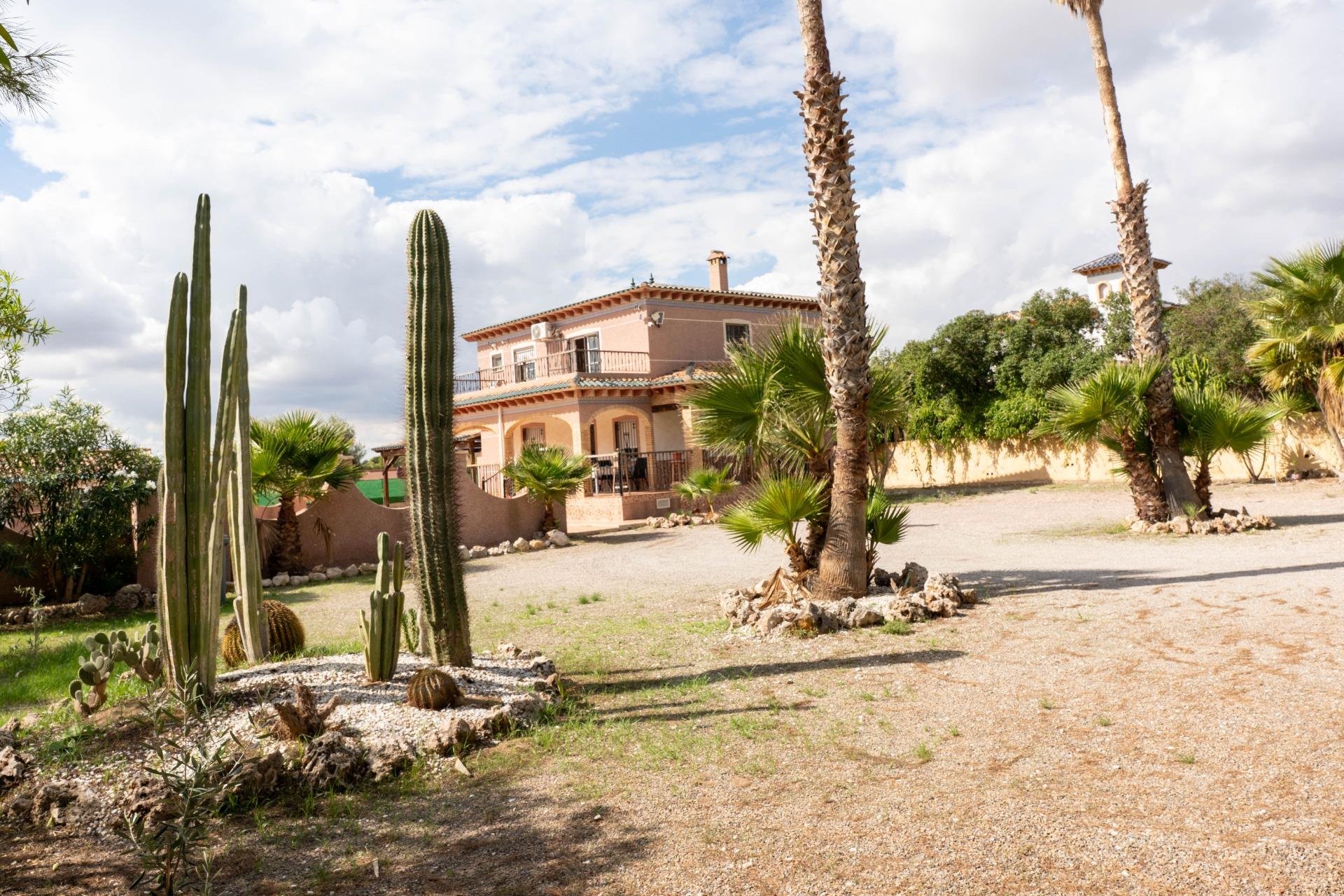 Reventa - Chalet - Albatera - Partida lomas