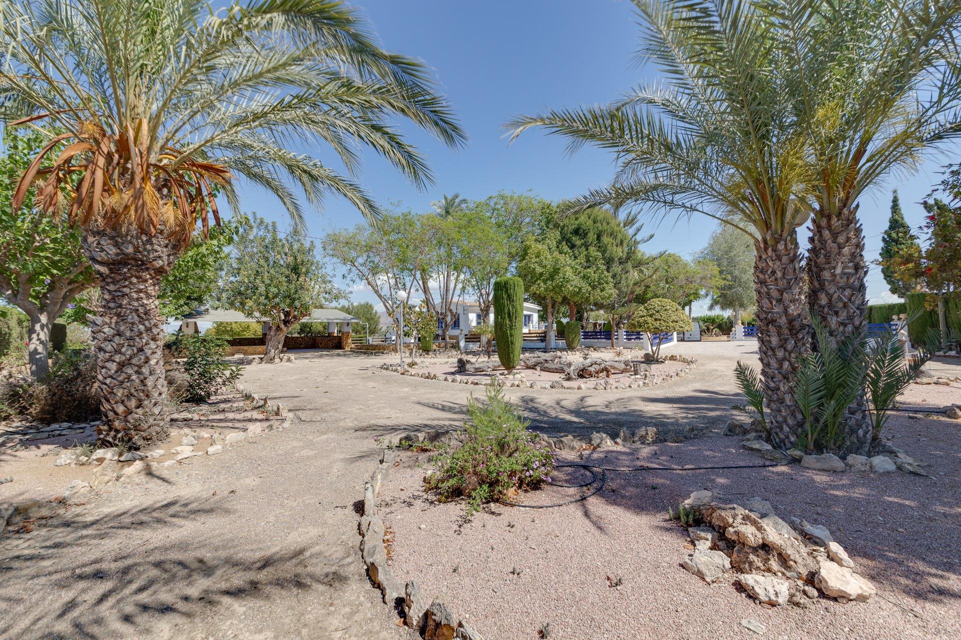 Reventa - Chalet - Orihuela - Correntías Bajas