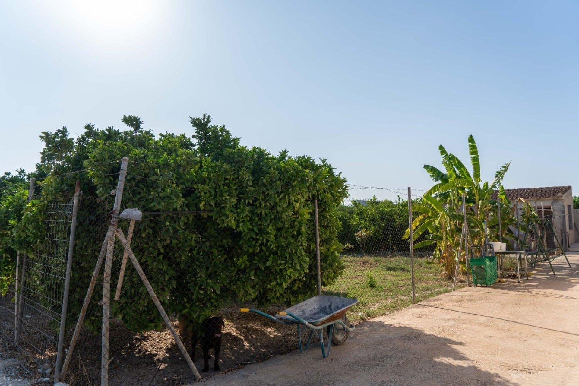 Reventa - Chalet - Orihuela - Montepinar-La Aparecida-Raiguero