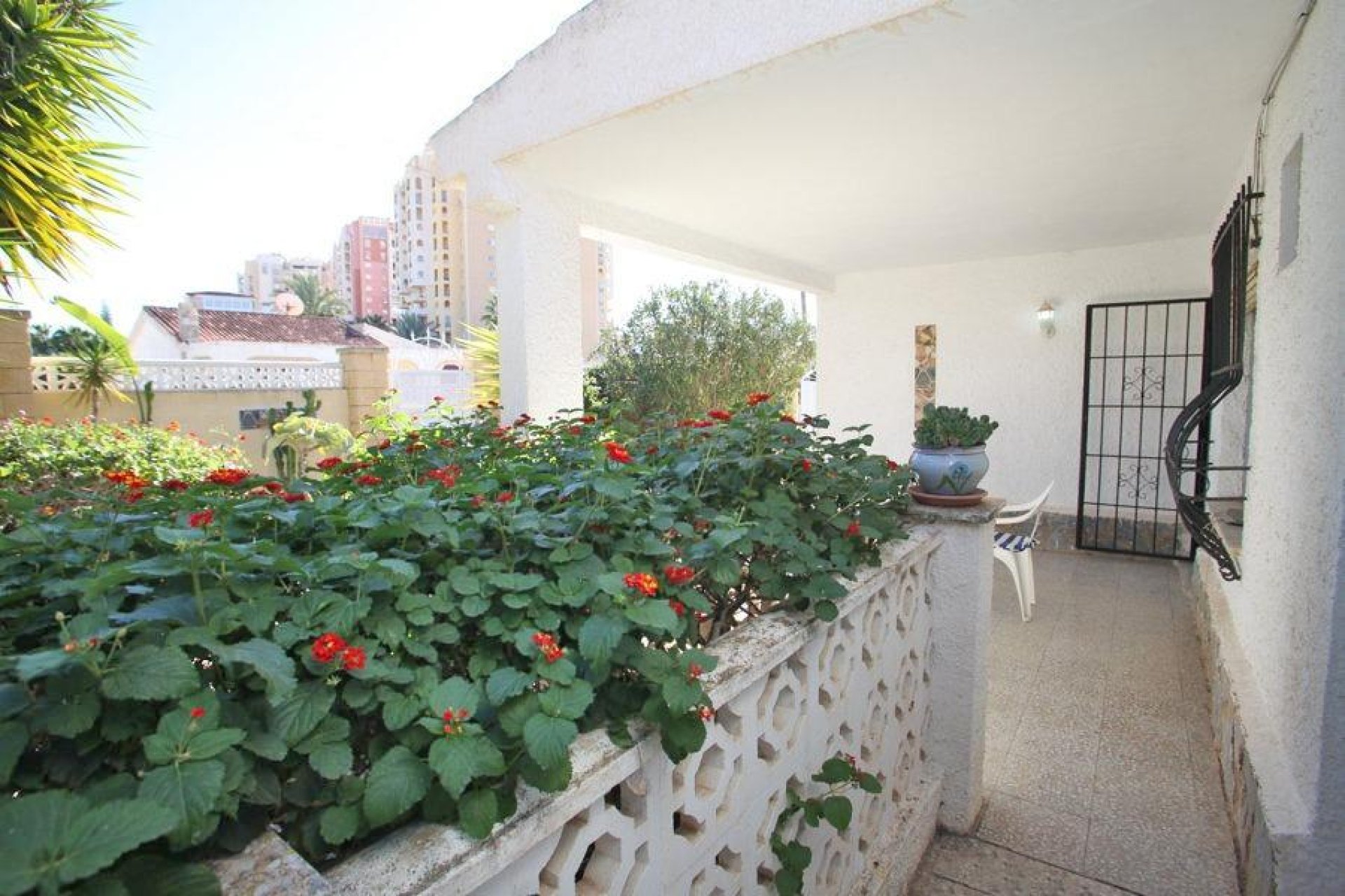 Reventa - Chalet - Torrevieja - Los Frutales
