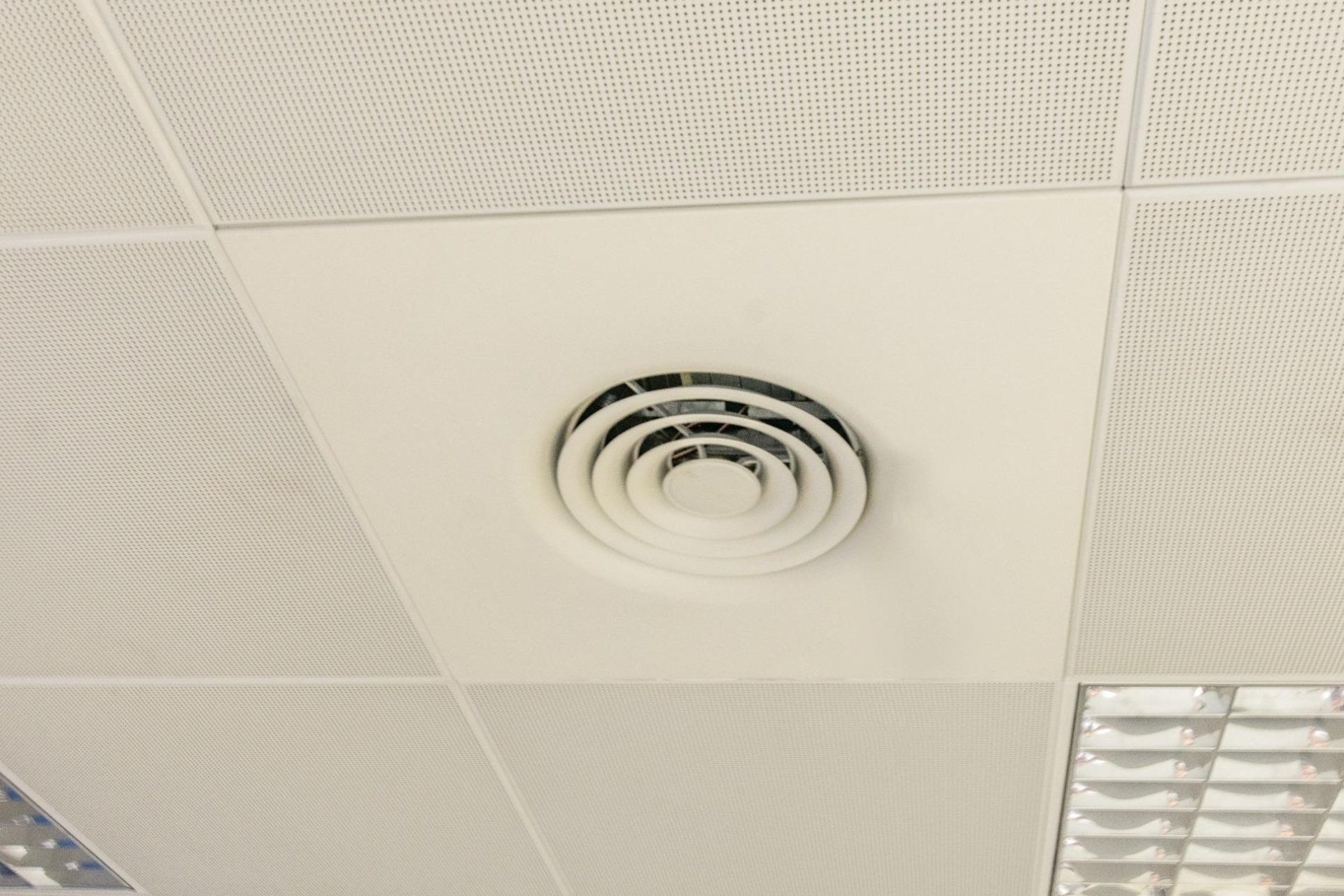 Reventa - Local comercial - Almoradí - Centro urbano 2