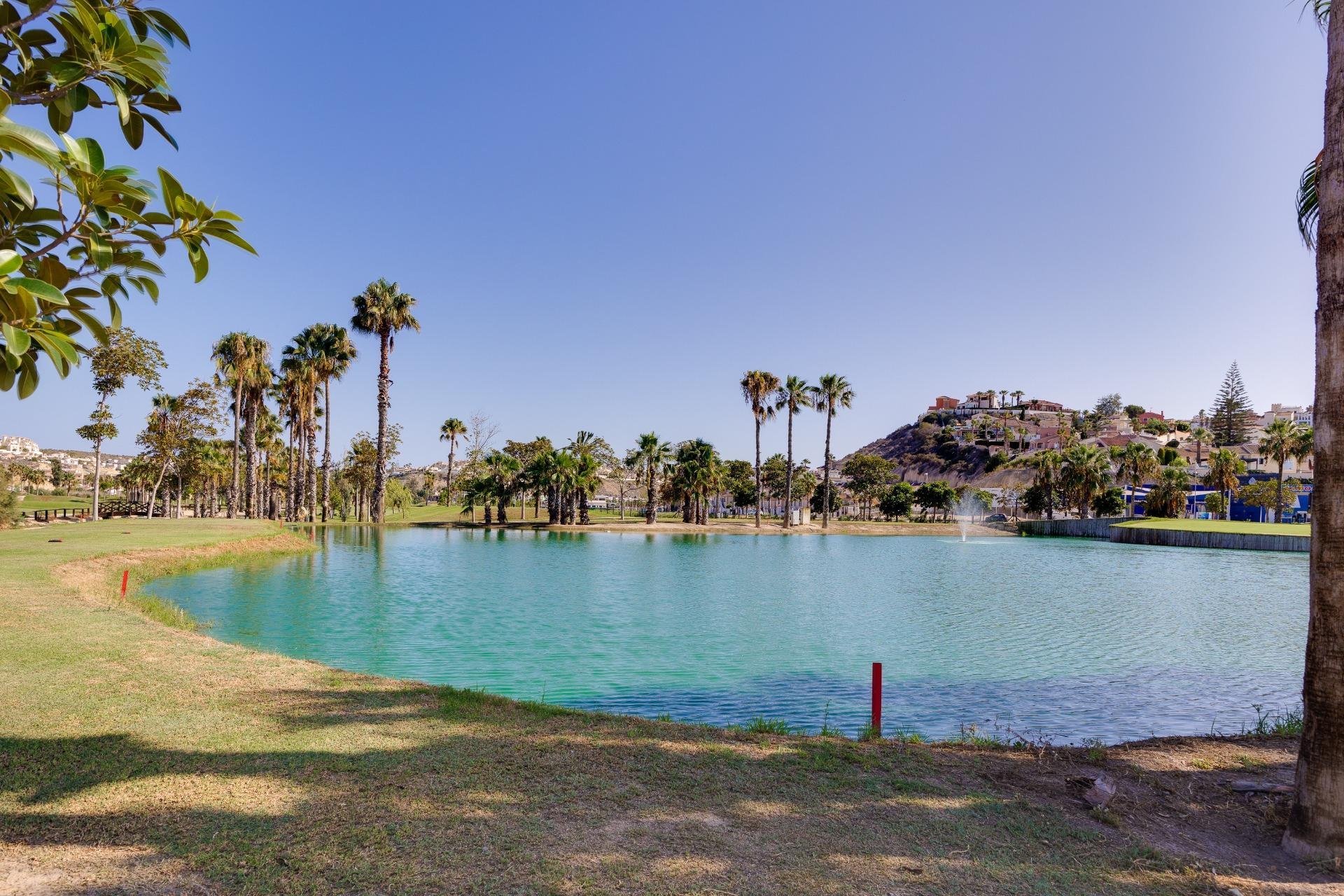 Reventa - Local comercial - Rojales - DOÑA PEPA - CIUDAD QUESADA