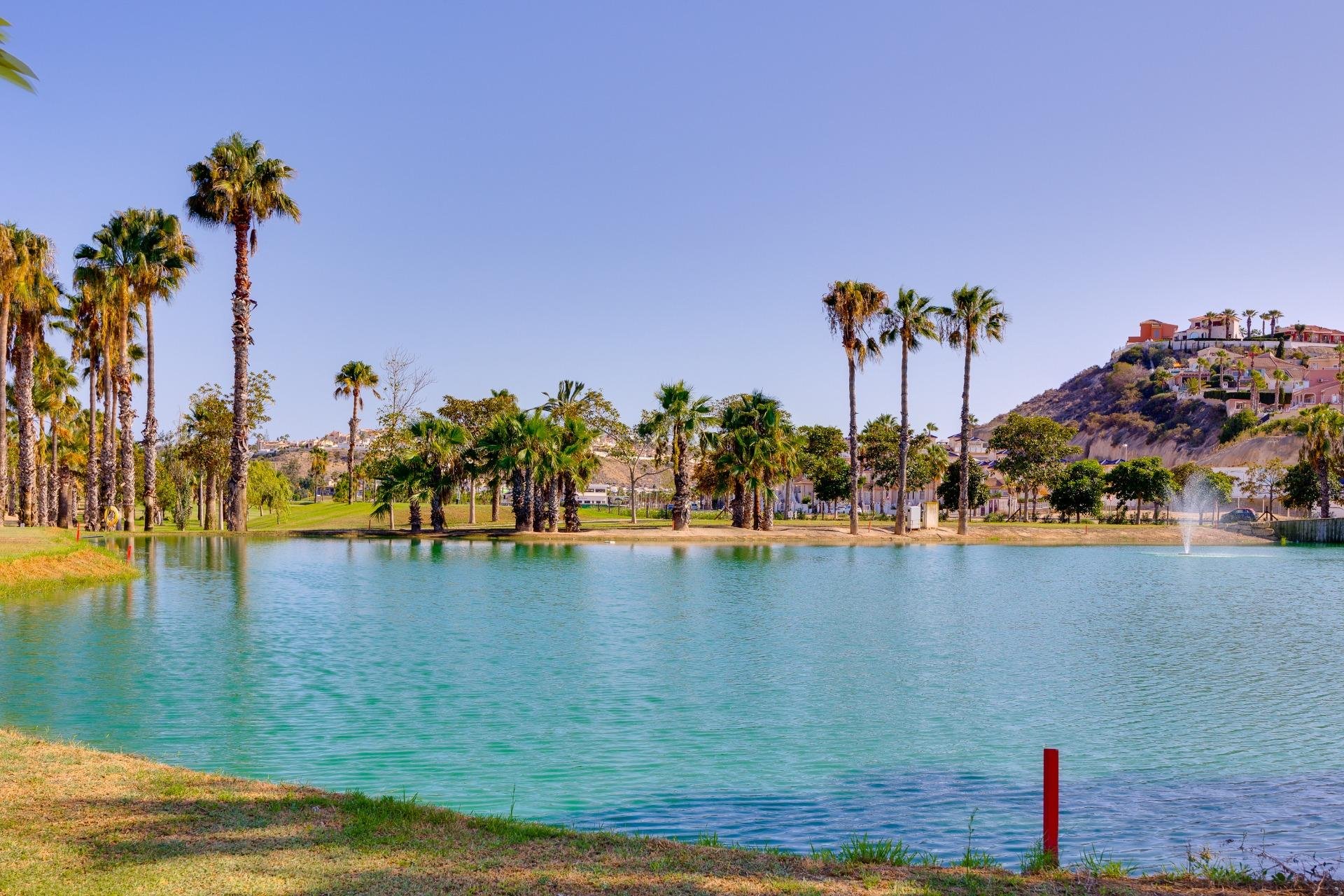 Reventa - Local comercial - Rojales - DOÑA PEPA - CIUDAD QUESADA