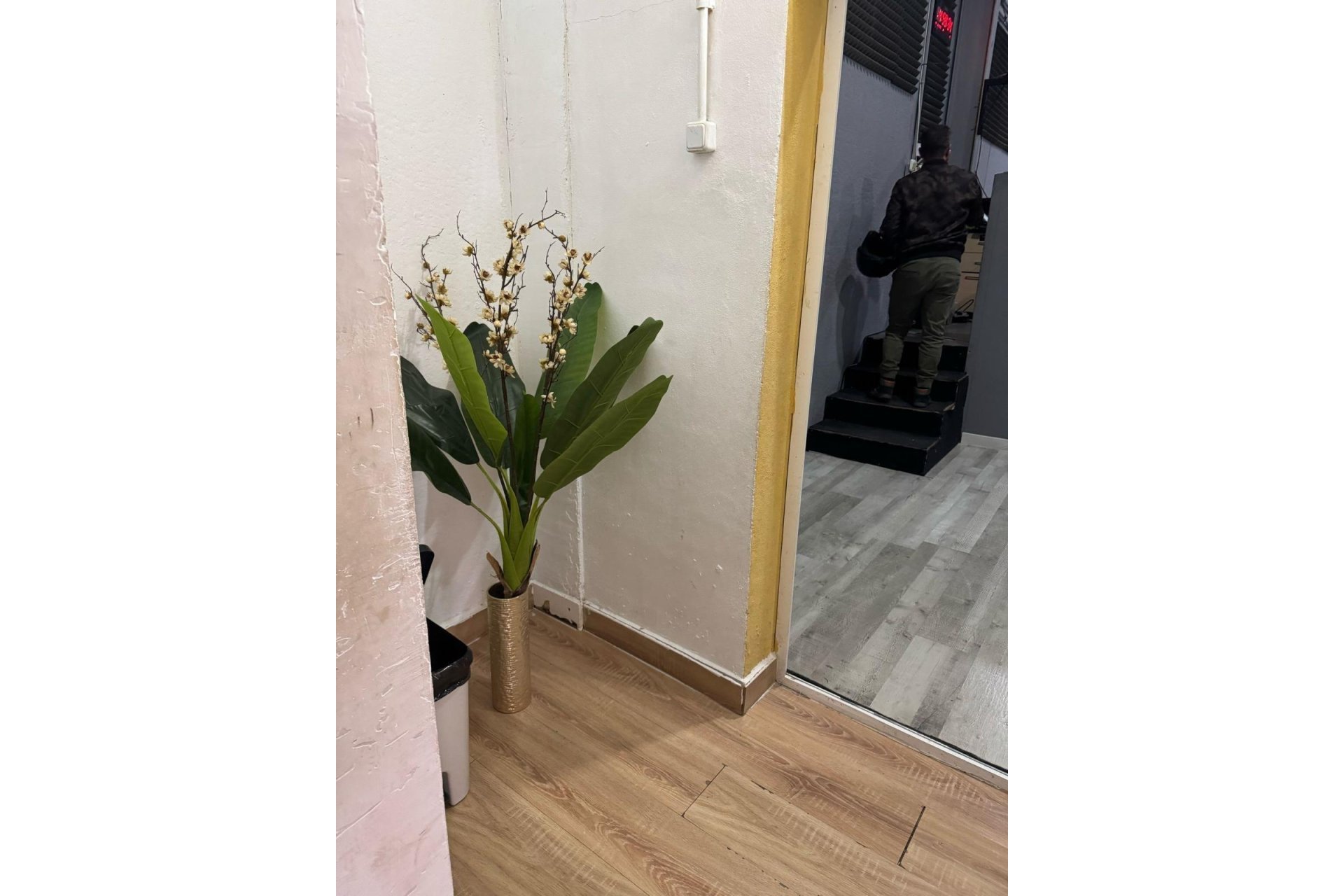 Reventa - Local comercial - Torrevieja - Playa de los Locos