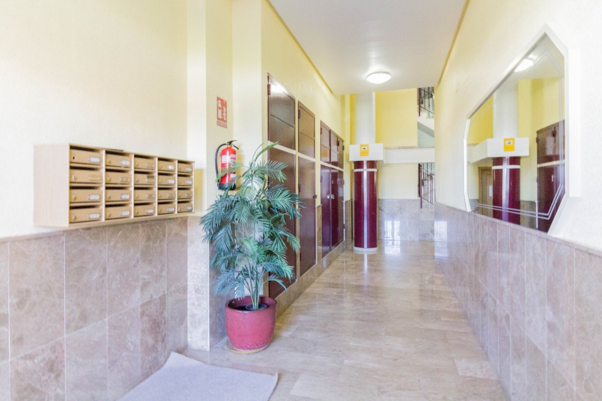 Reventa - Piso - Almoradí