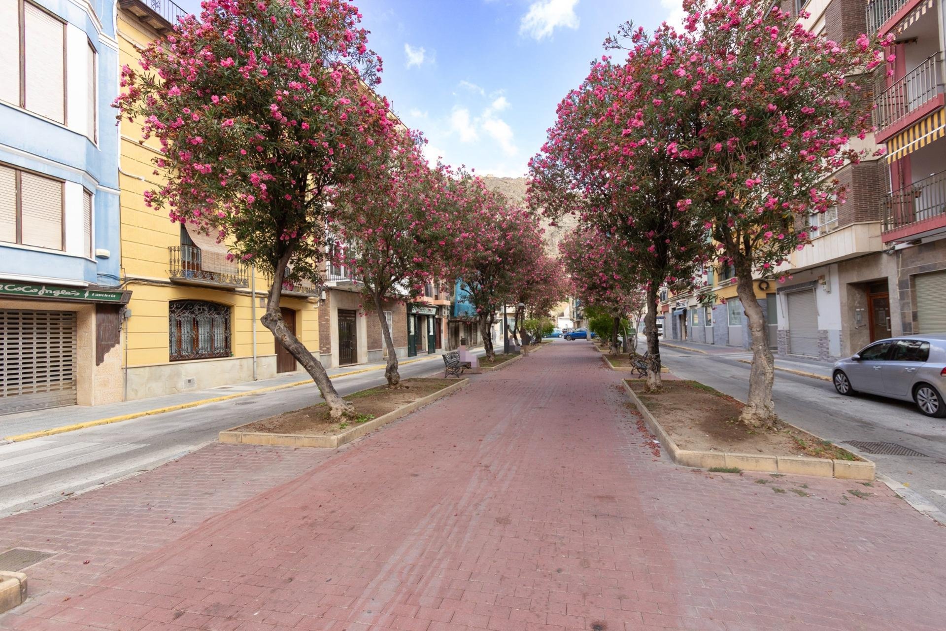 Reventa - Piso - Orihuela - Zona Centro