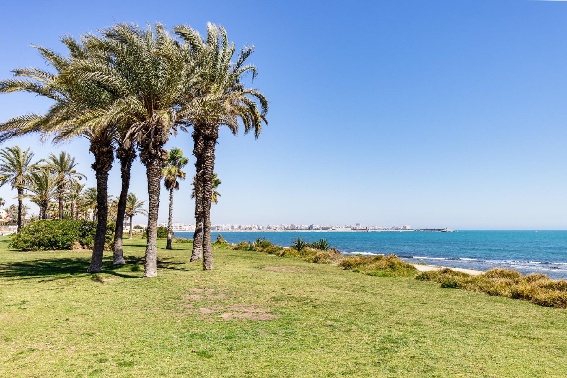 Reventa - Piso - Torrevieja - La veleta