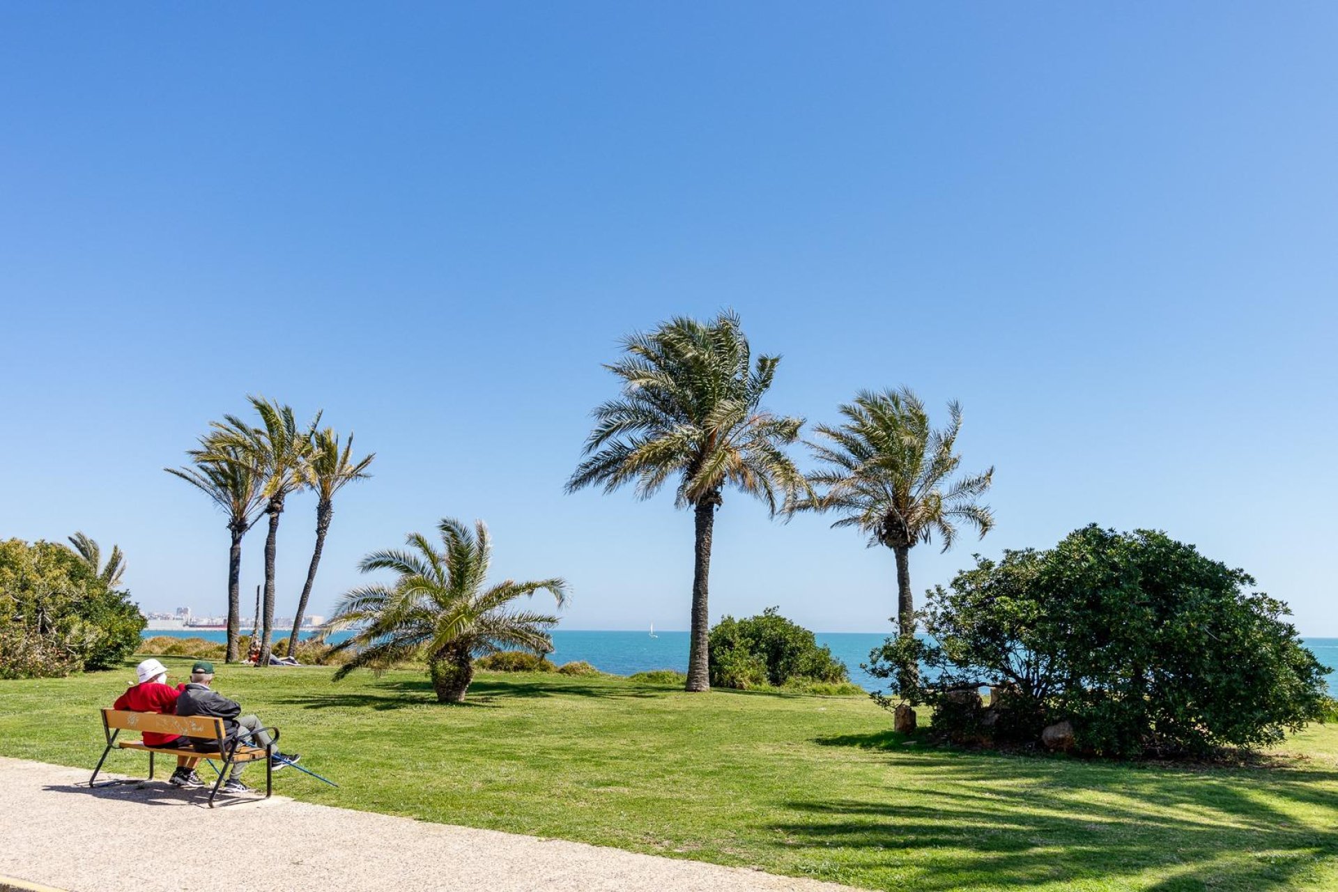 Reventa - Piso - Torrevieja - La veleta