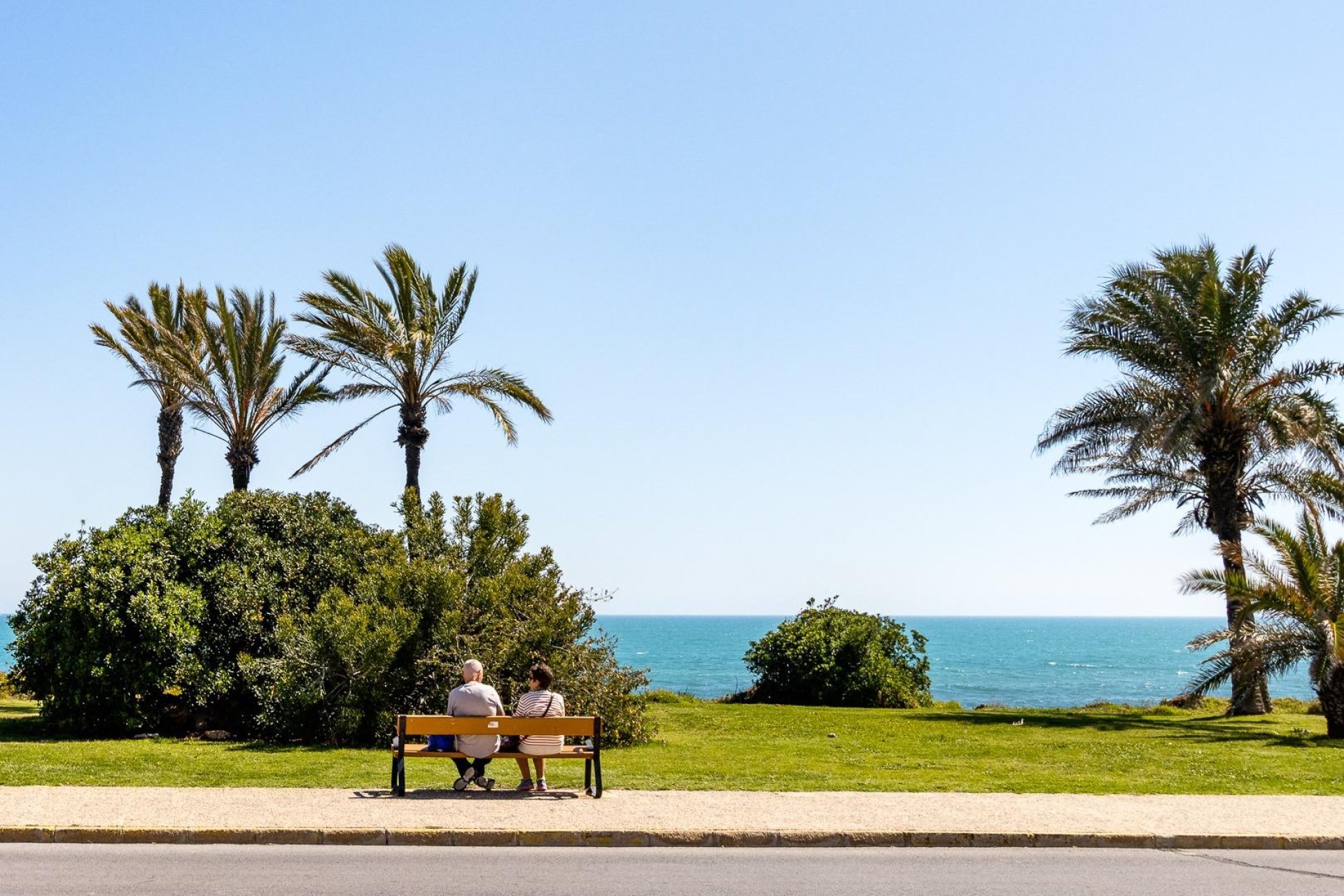 Reventa - Piso - Torrevieja - La veleta