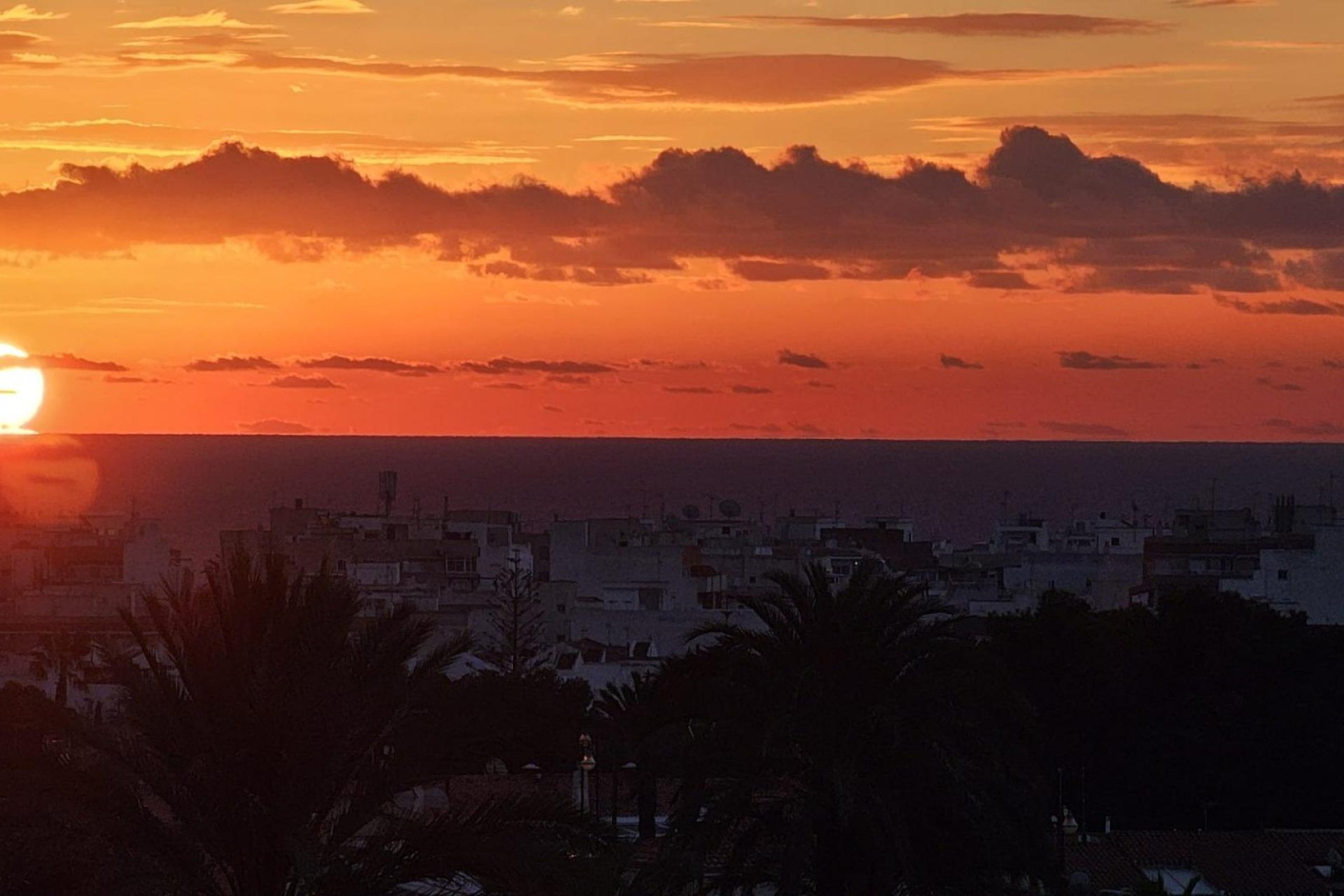 Reventa - Piso - Torrevieja - Nueva Torrevieja