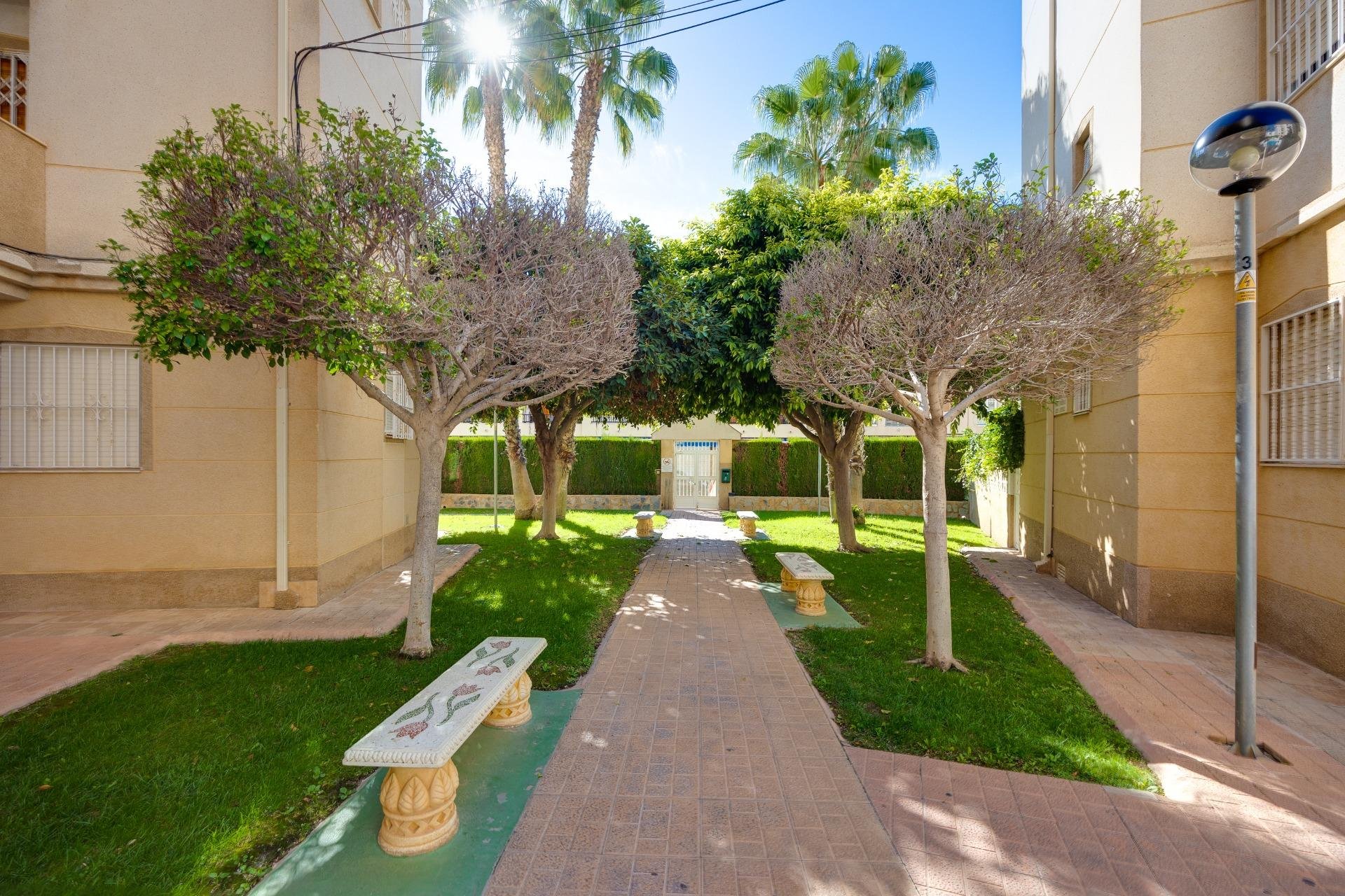 Reventa - Planta baja - Torrevieja - Playa de los Locos