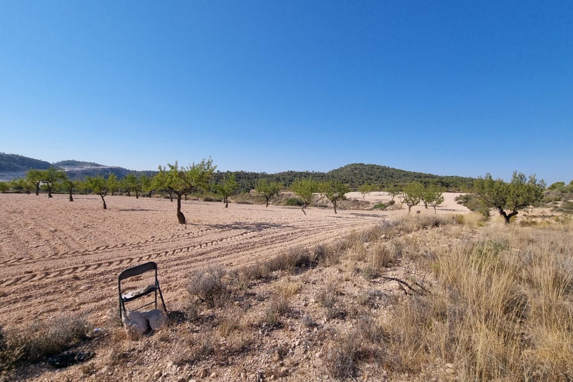 Reventa - Terreno rural - Abanilla - ABANILLA