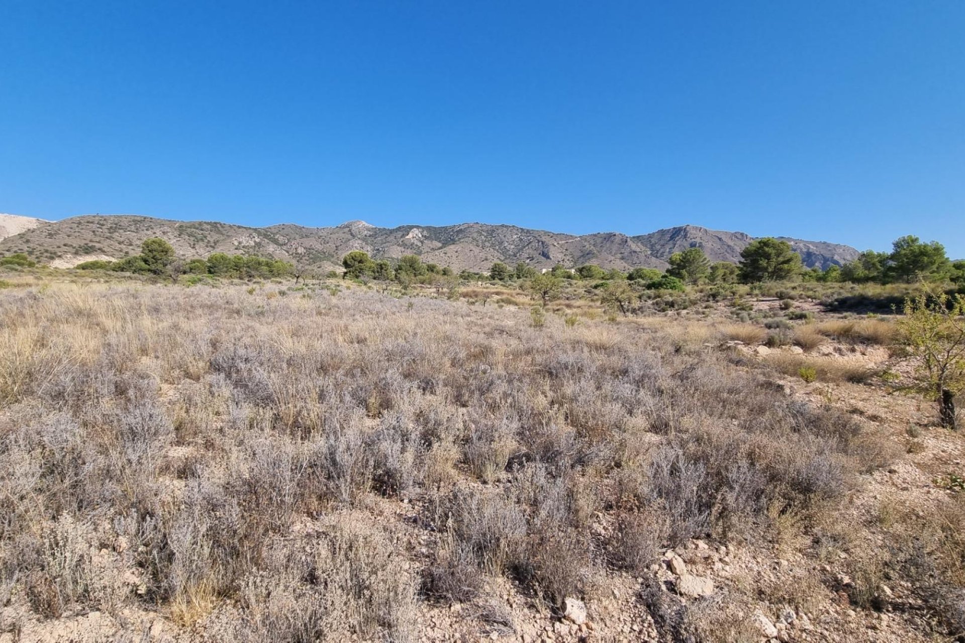 Reventa - Terreno rural - Abanilla - ABANILLA