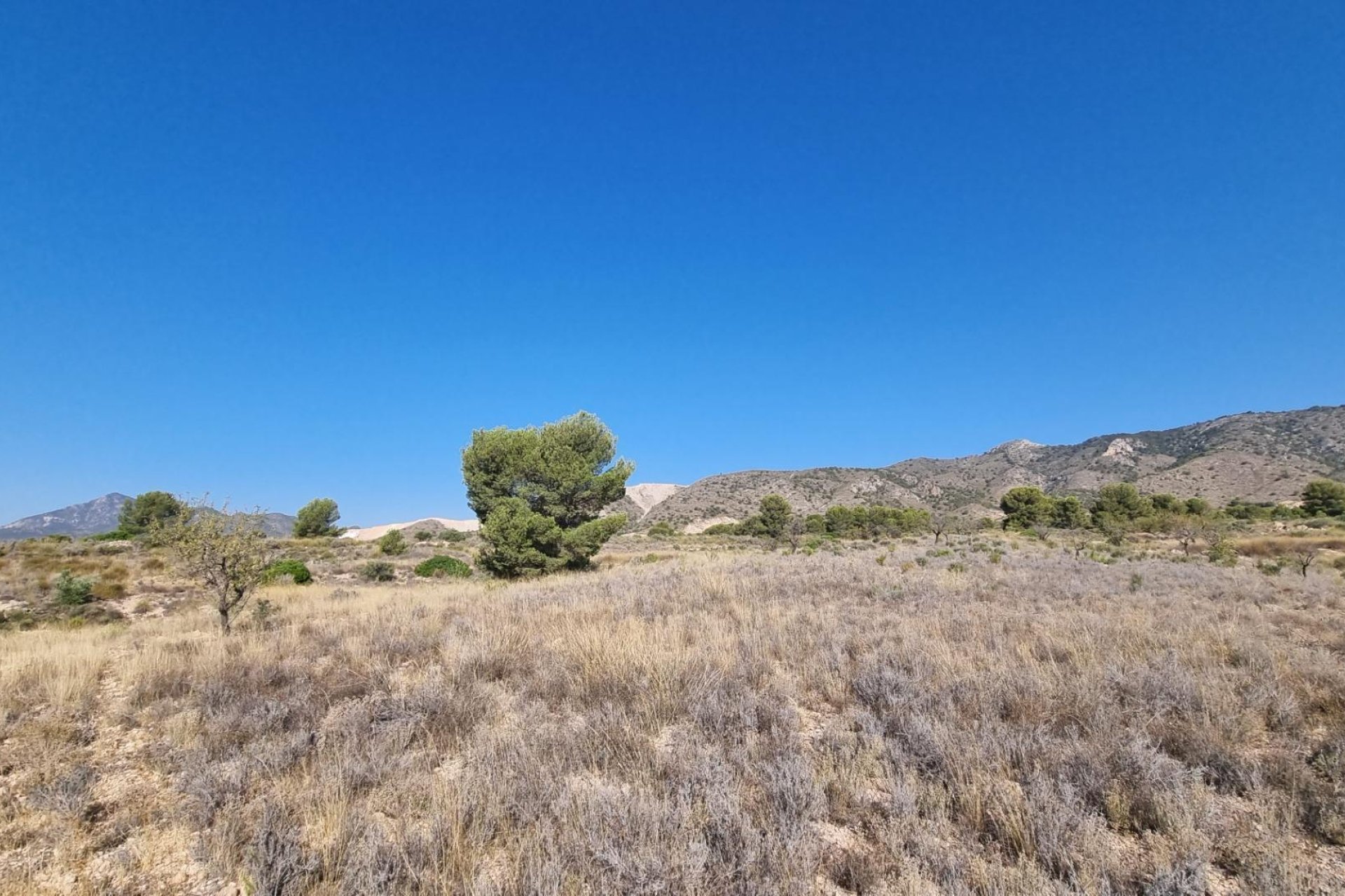 Reventa - Terreno rural - Abanilla - ABANILLA