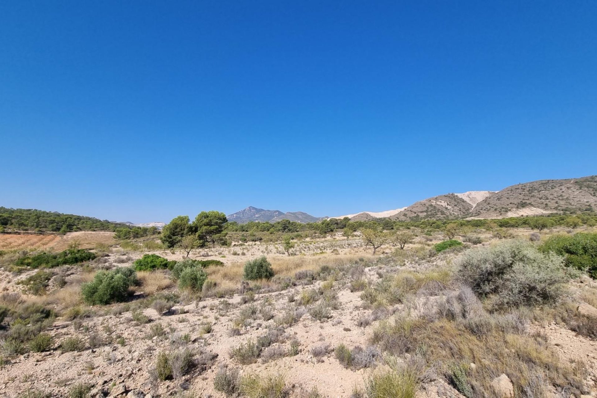 Reventa - Terreno rural - Abanilla - ABANILLA