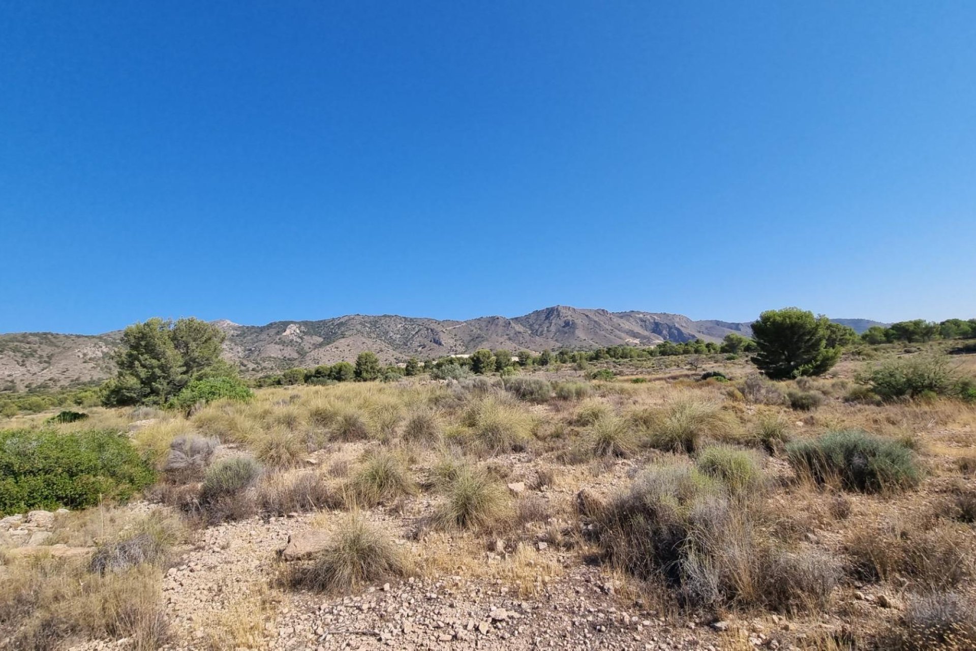 Reventa - Terreno rural - Abanilla - ABANILLA