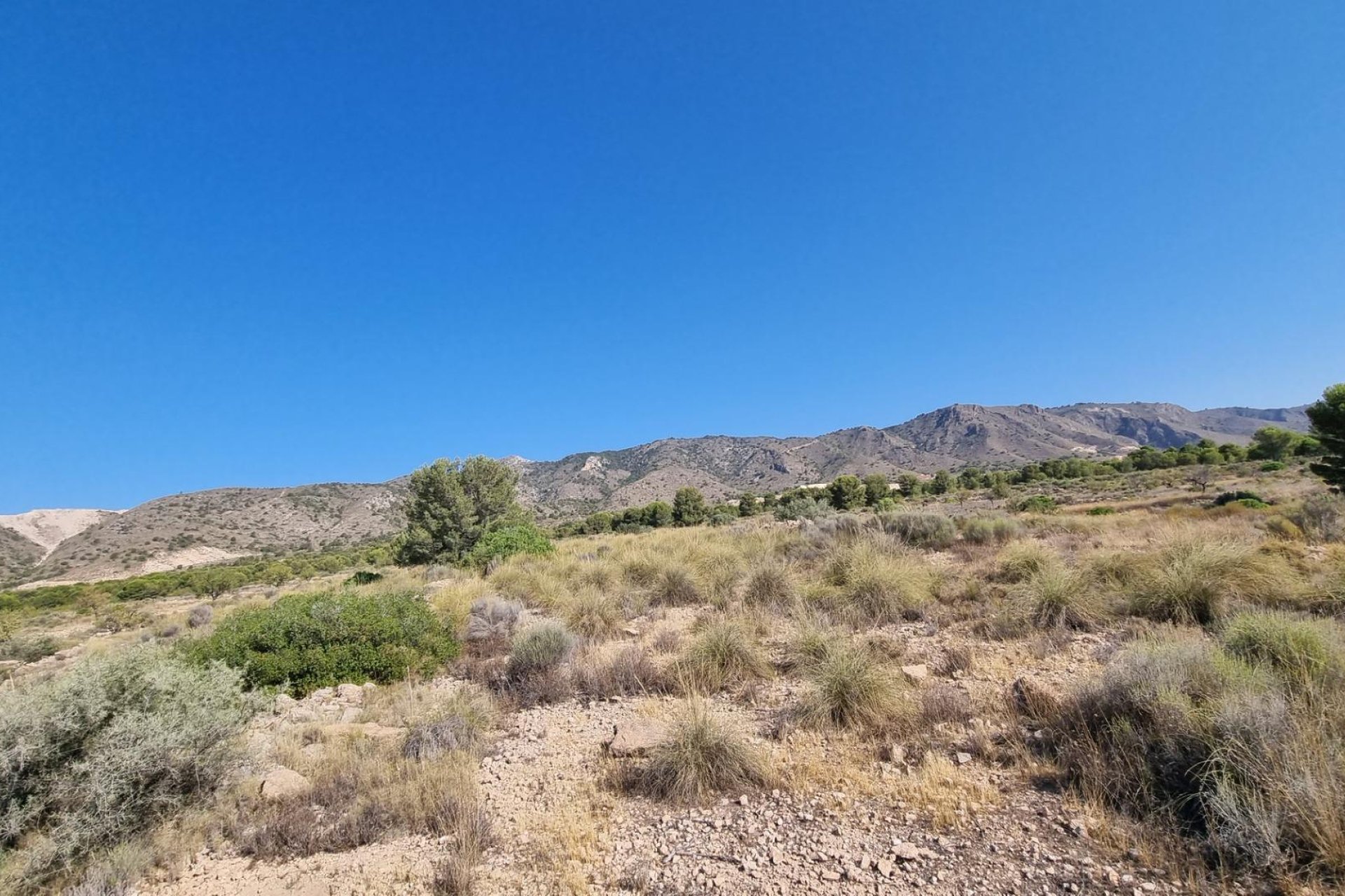 Reventa - Terreno rural - Abanilla - ABANILLA