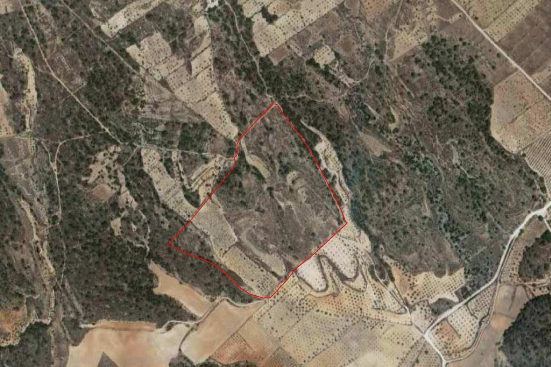 Reventa - Terreno rural - Abanilla - ABANILLA