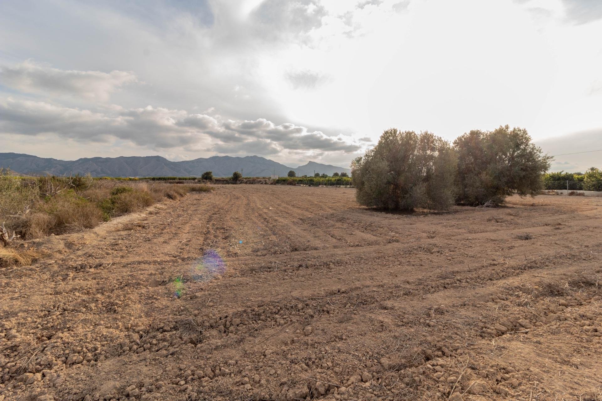 Reventa - Terreno rural - Benferri - Campo