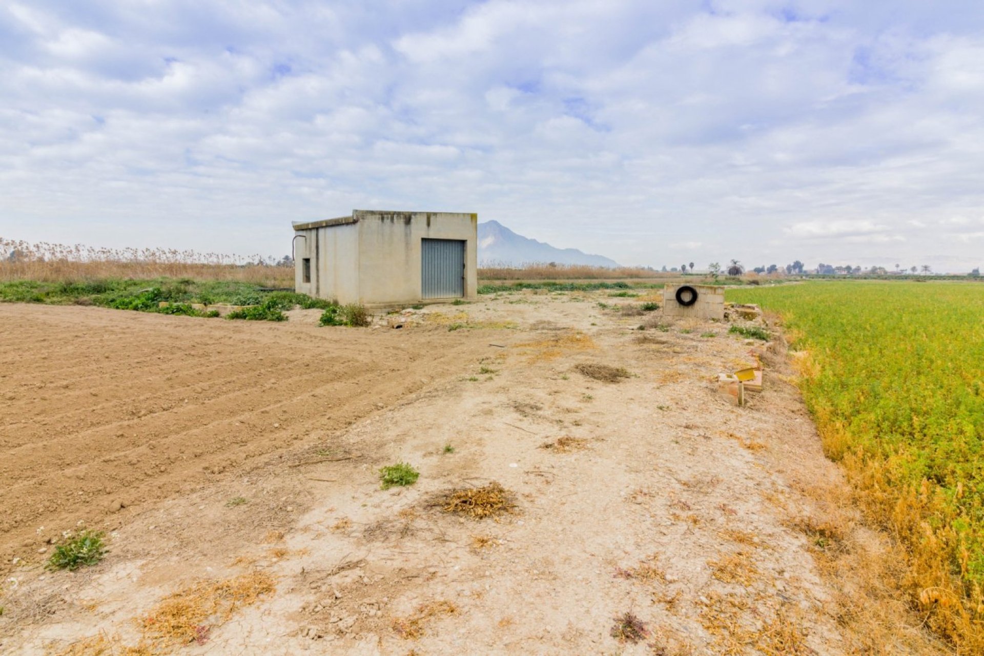 Reventa - Terreno rural - Callosa de Segura - CALLOSA