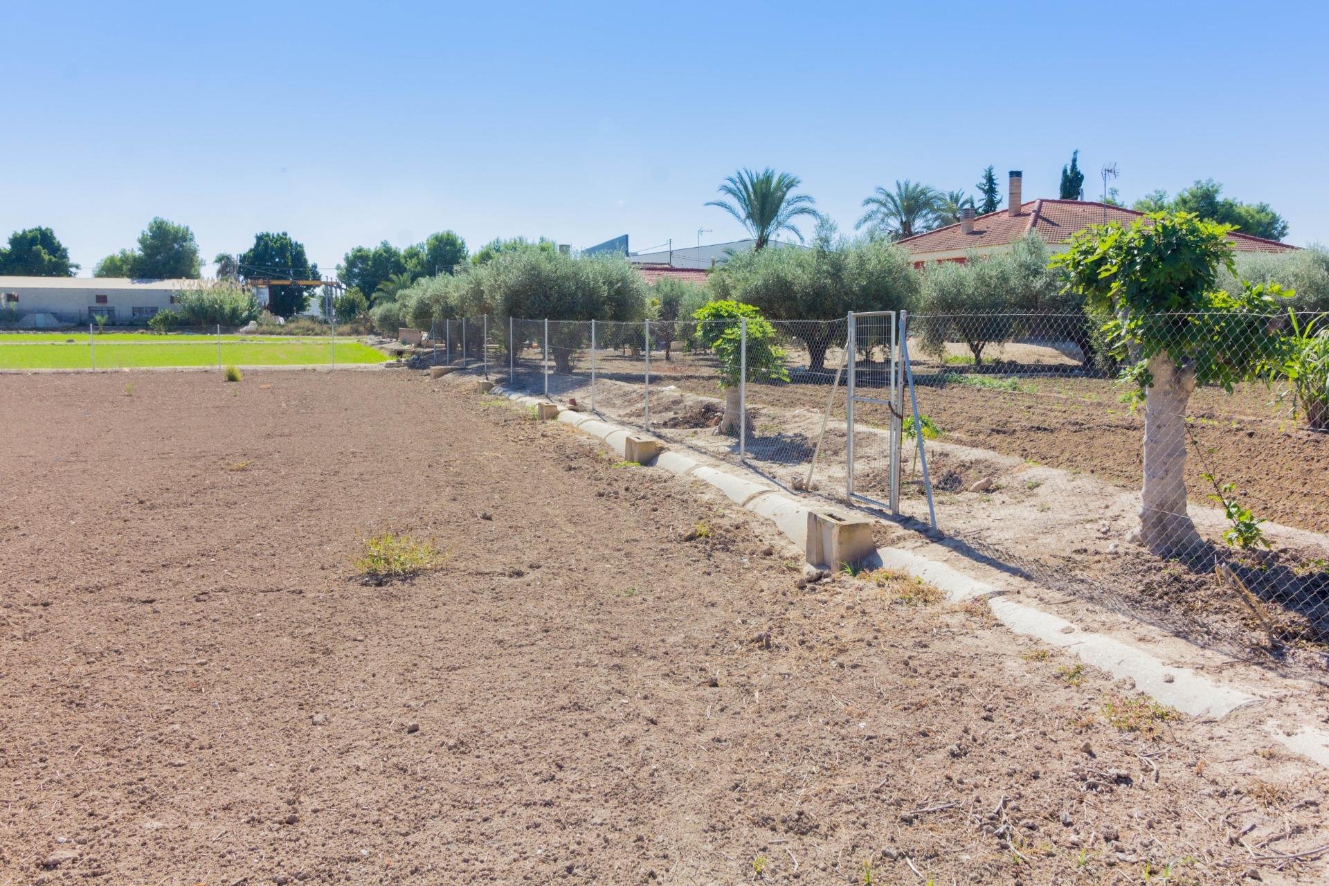 Reventa - Terreno rural - Callosa de Segura - CRA. CALLOSA - CATRAL