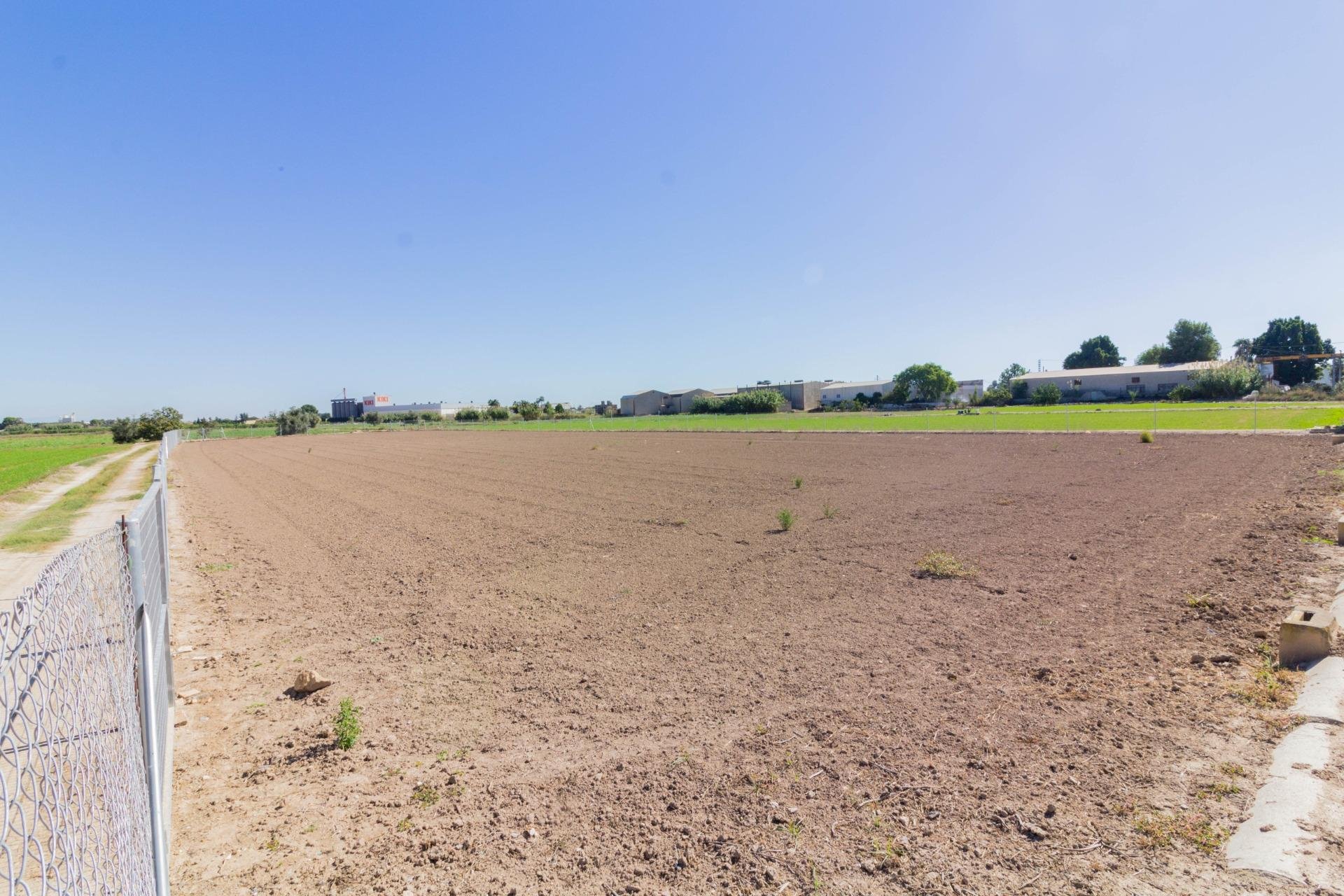 Reventa - Terreno rural - Callosa de Segura - CRA. CALLOSA - CATRAL