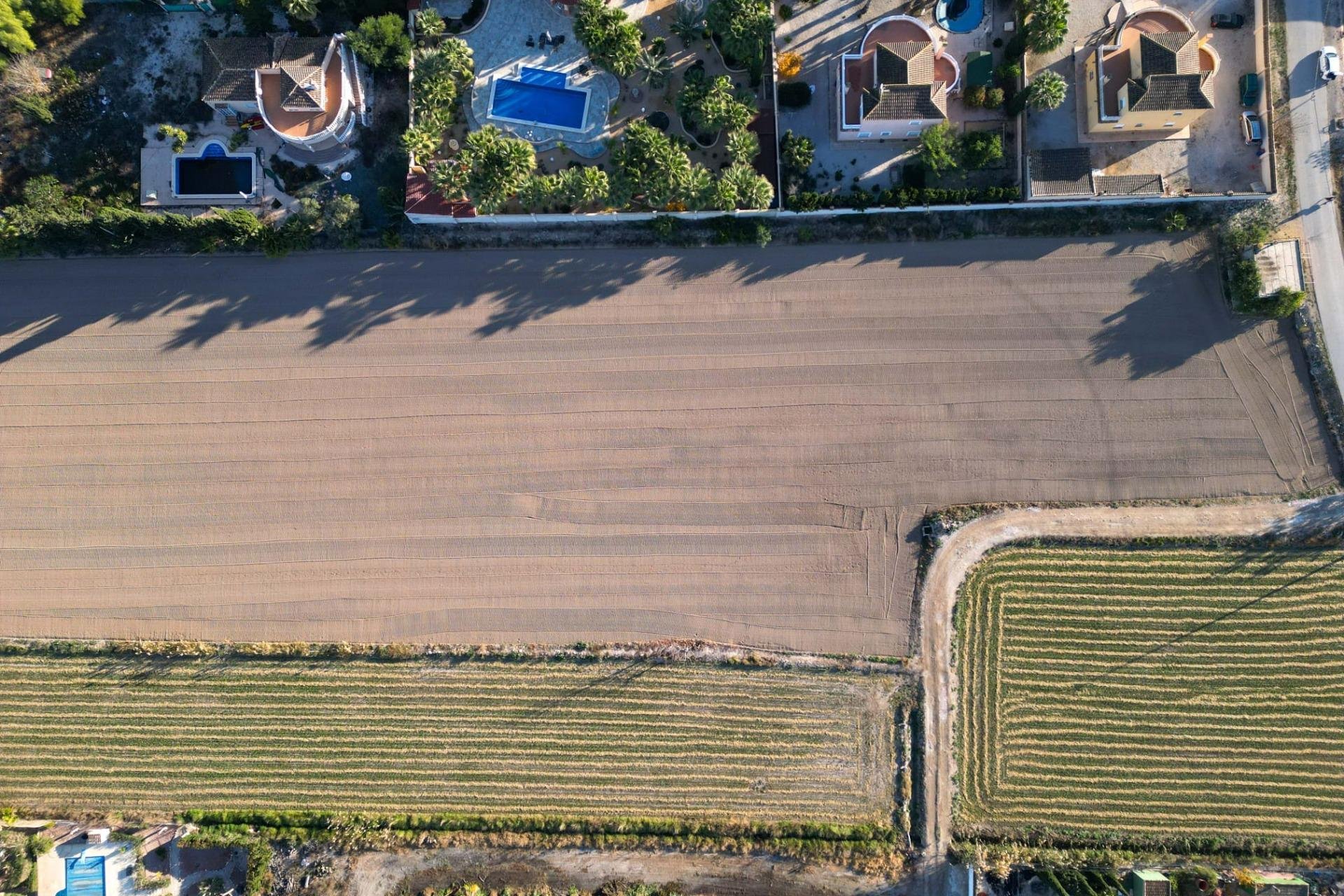 Reventa - Terreno rural - Catral - Arroba La Madriguera