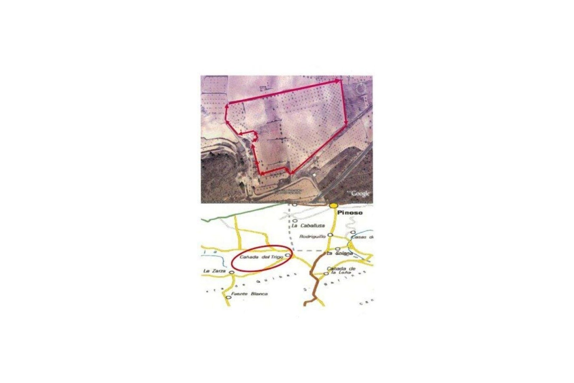 Reventa - Terreno rural - Jumilla - CAÑADA DEL TRIGO