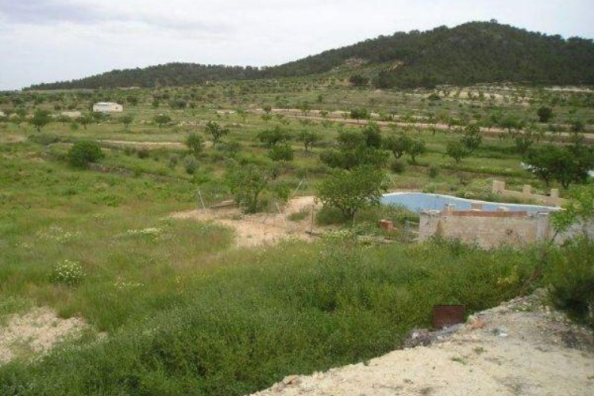 Reventa - Terreno rural - Jumilla - CAÑADA DEL TRIGO