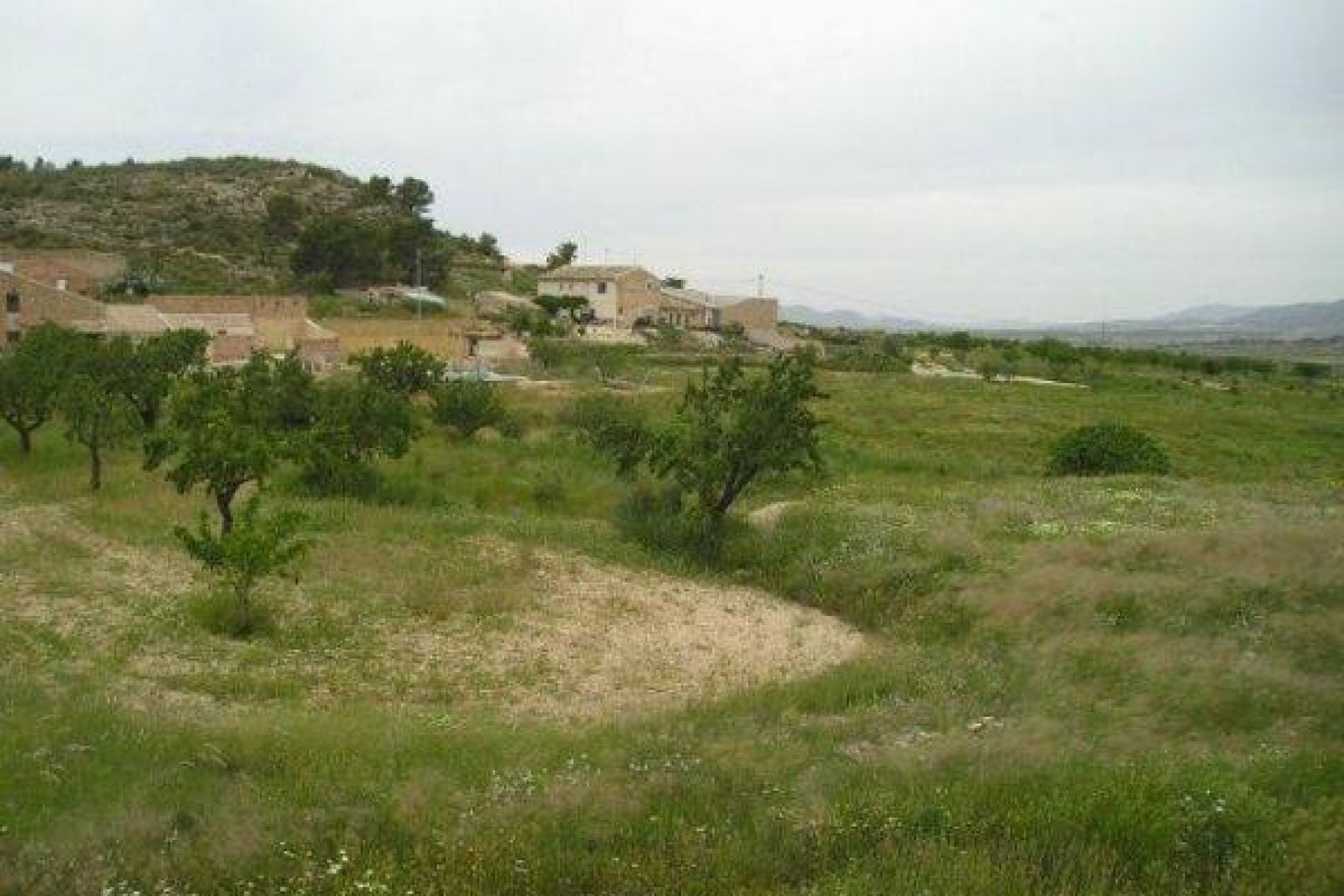 Reventa - Terreno rural - Jumilla - CAÑADA DEL TRIGO