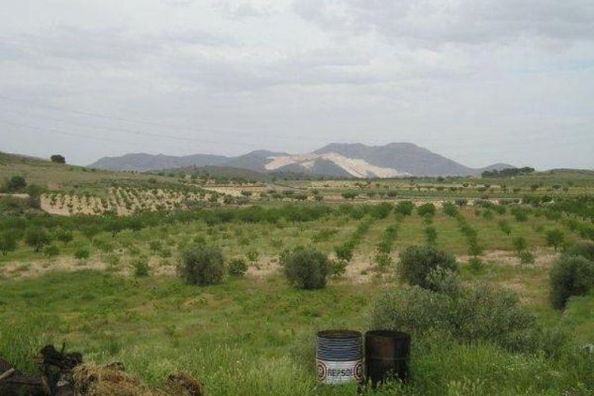 Reventa - Terreno rural - Jumilla - CAÑADA DEL TRIGO