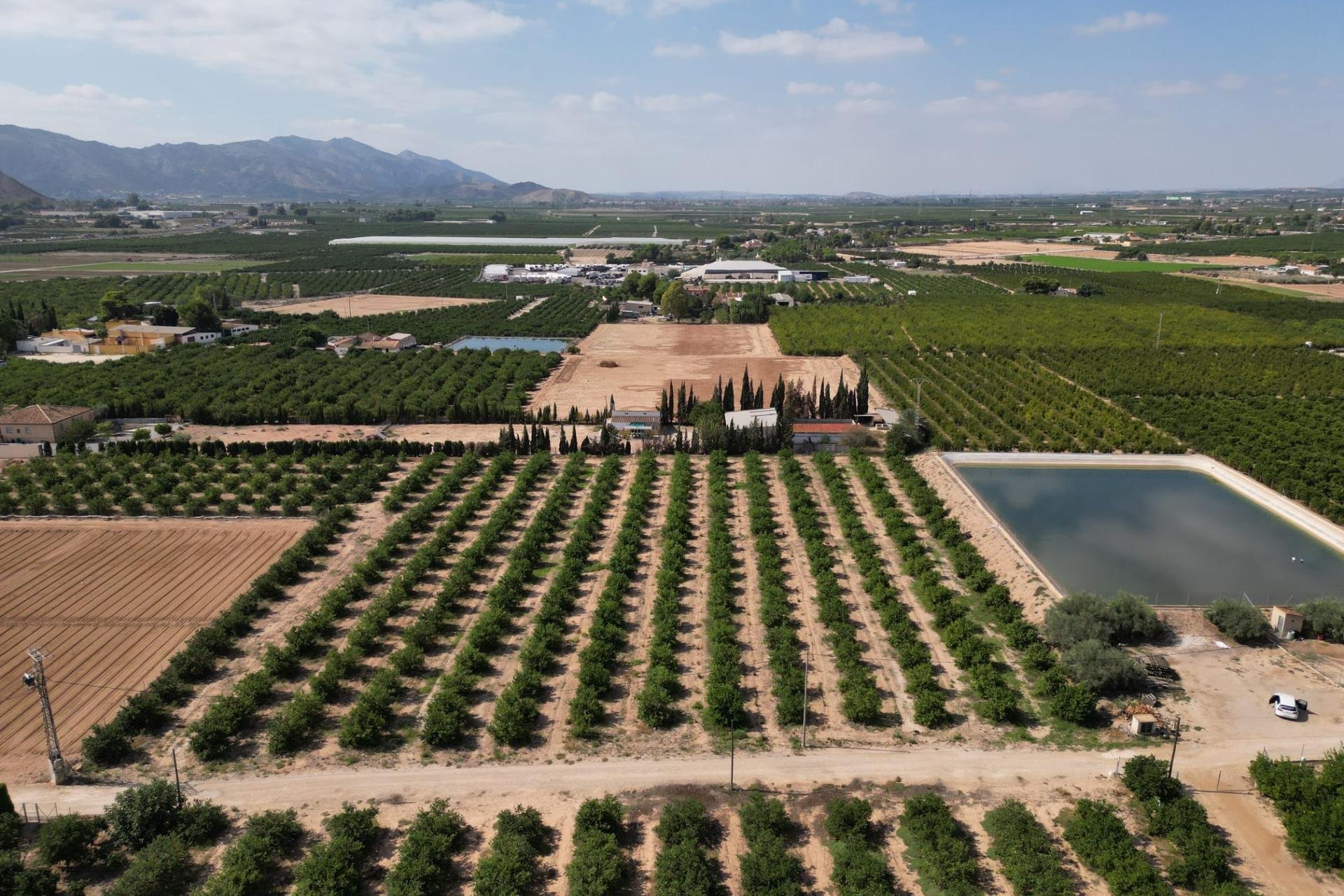 Reventa - Terreno rural - Orihuela - La Murada-Los Vicentes